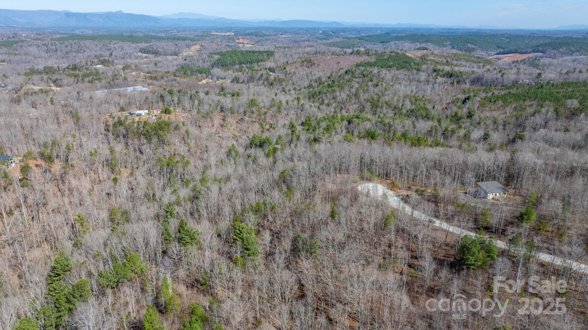 TBD Dirksen Avenue #61 - Photo 2