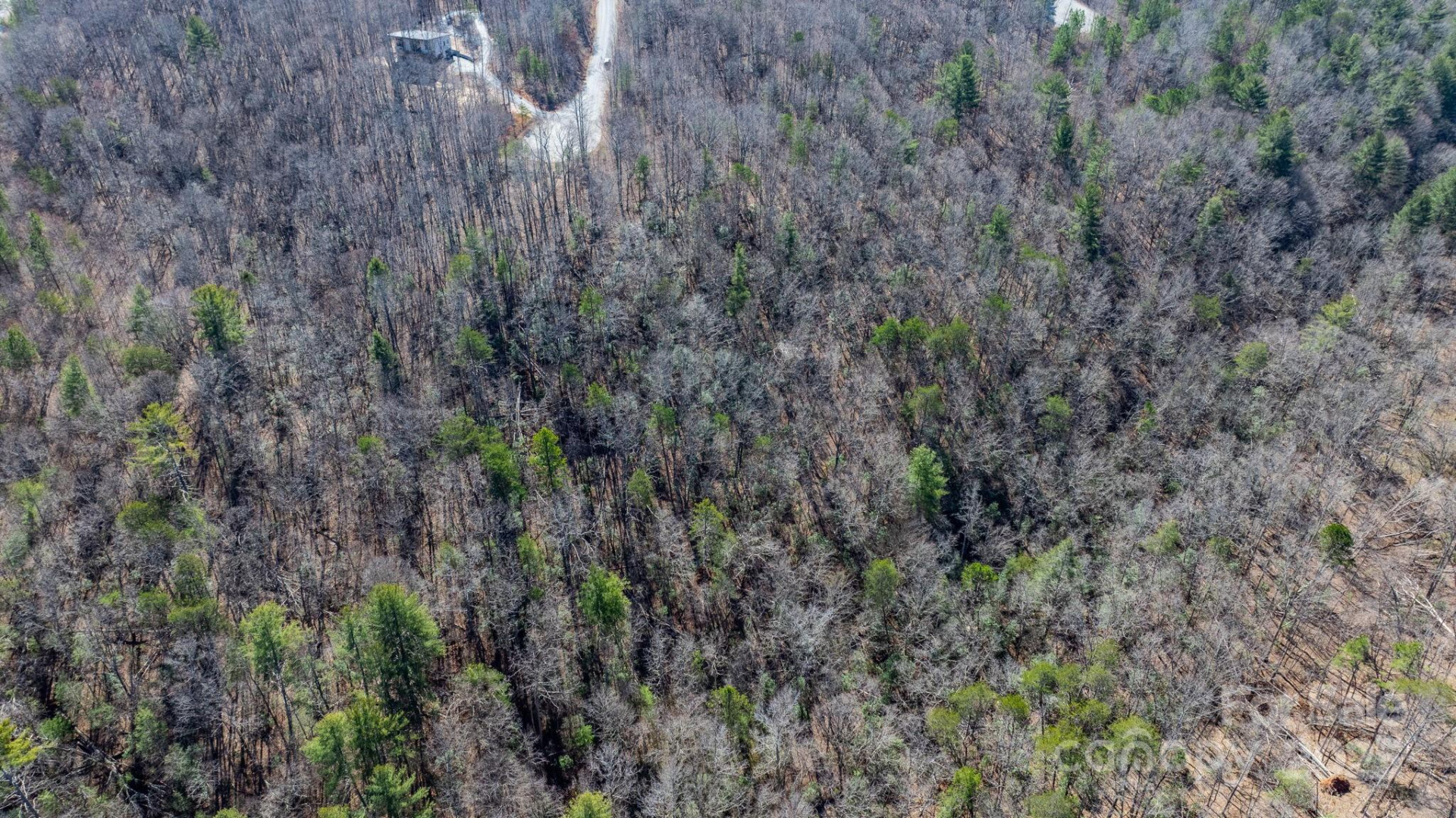 TBD Dirksen Avenue #61 - Photo 13