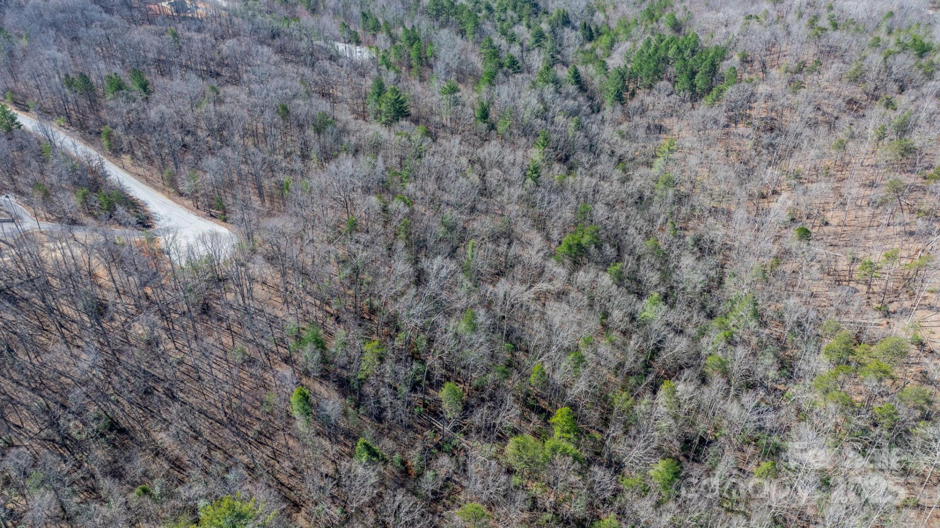 TBD Dirksen Avenue #61 - Photo 14