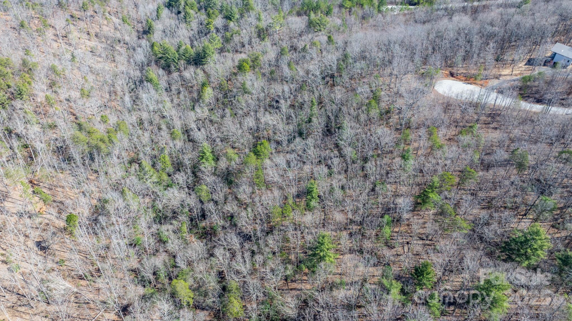 TBD Dirksen Avenue #61 - Photo 15