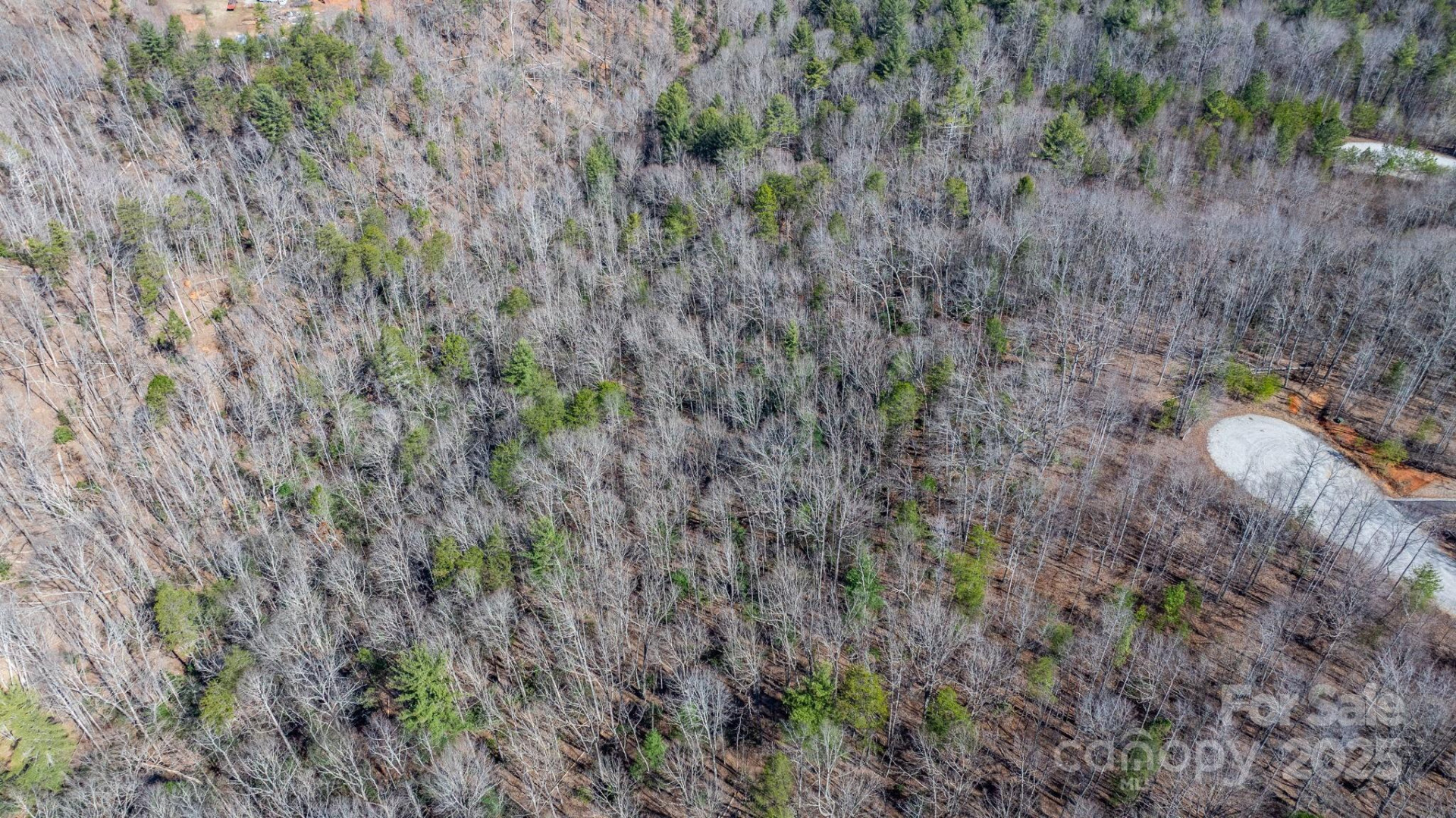 TBD Dirksen Avenue #61 - Photo 16