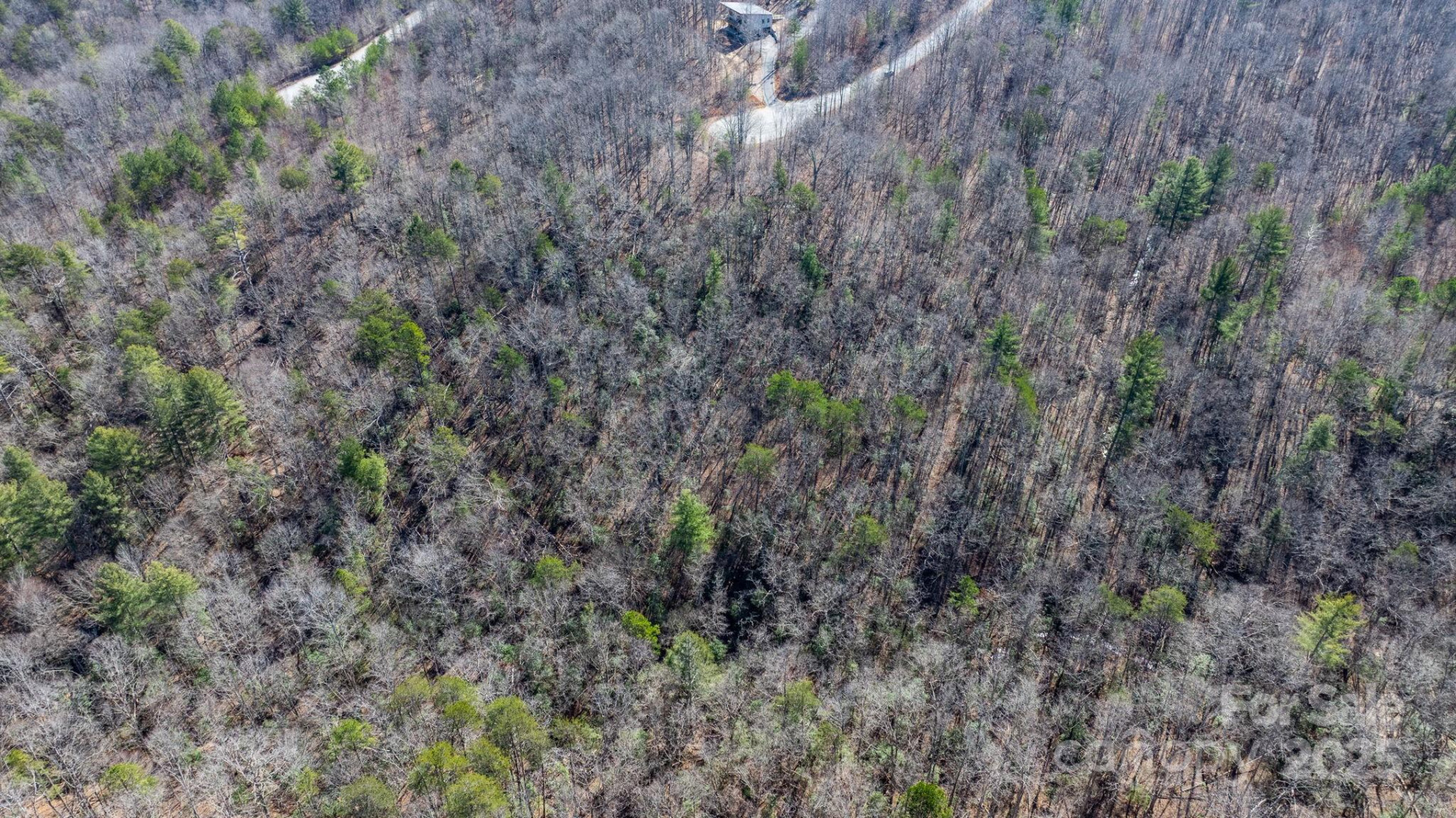 TBD Dirksen Avenue #61 - Photo 17