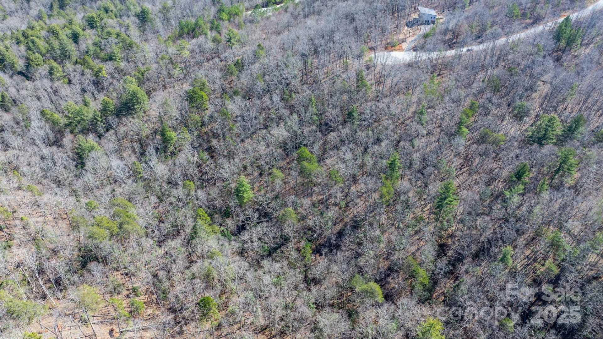 TBD Dirksen Avenue #61 - Photo 19