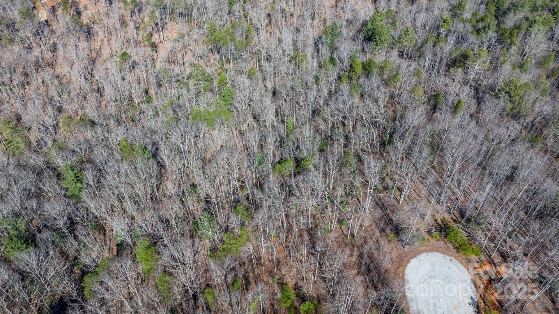 TBD Dirksen Avenue #61 - Photo 20