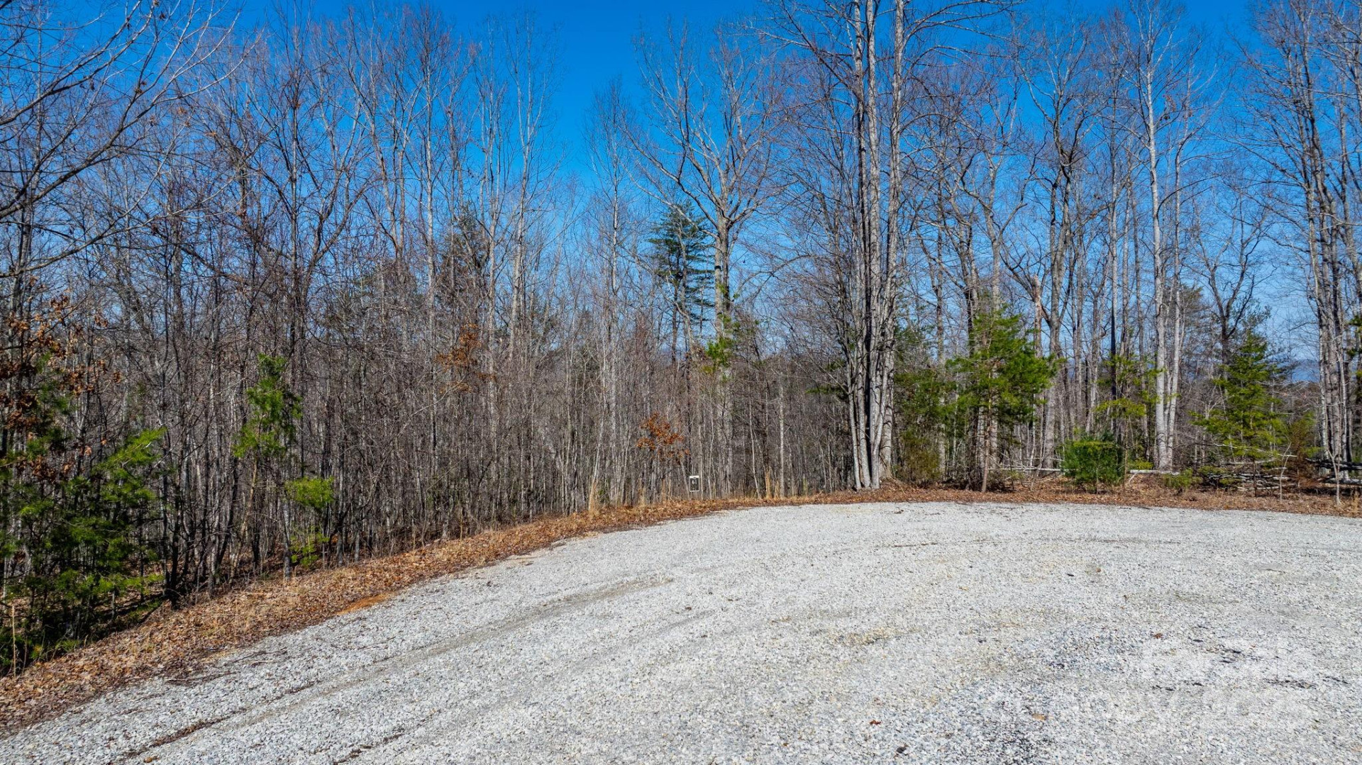 TBD Dirksen Avenue #61 - Photo 21