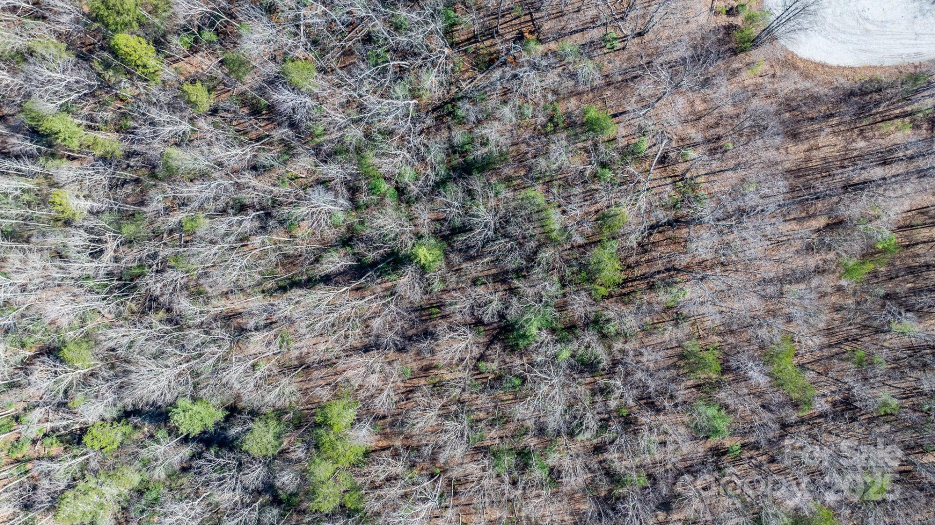 TBD Dirksen Avenue #61 - Photo 22