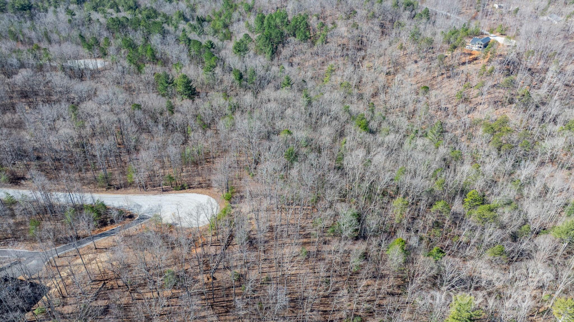 TBD Dirksen Avenue #61 - Photo 10