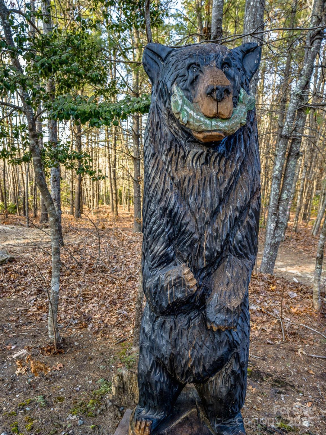 103 Duck Hope Drive - Photo 40