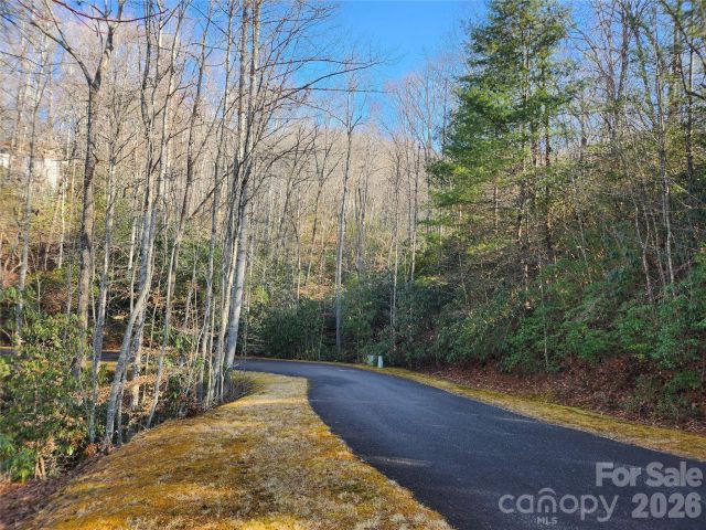 610 Aberdeen Lane, Pisgah Forest, NC, 28768