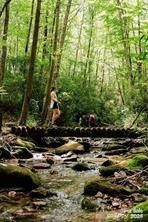 85 Southshore Drive #A1 - Photo 38