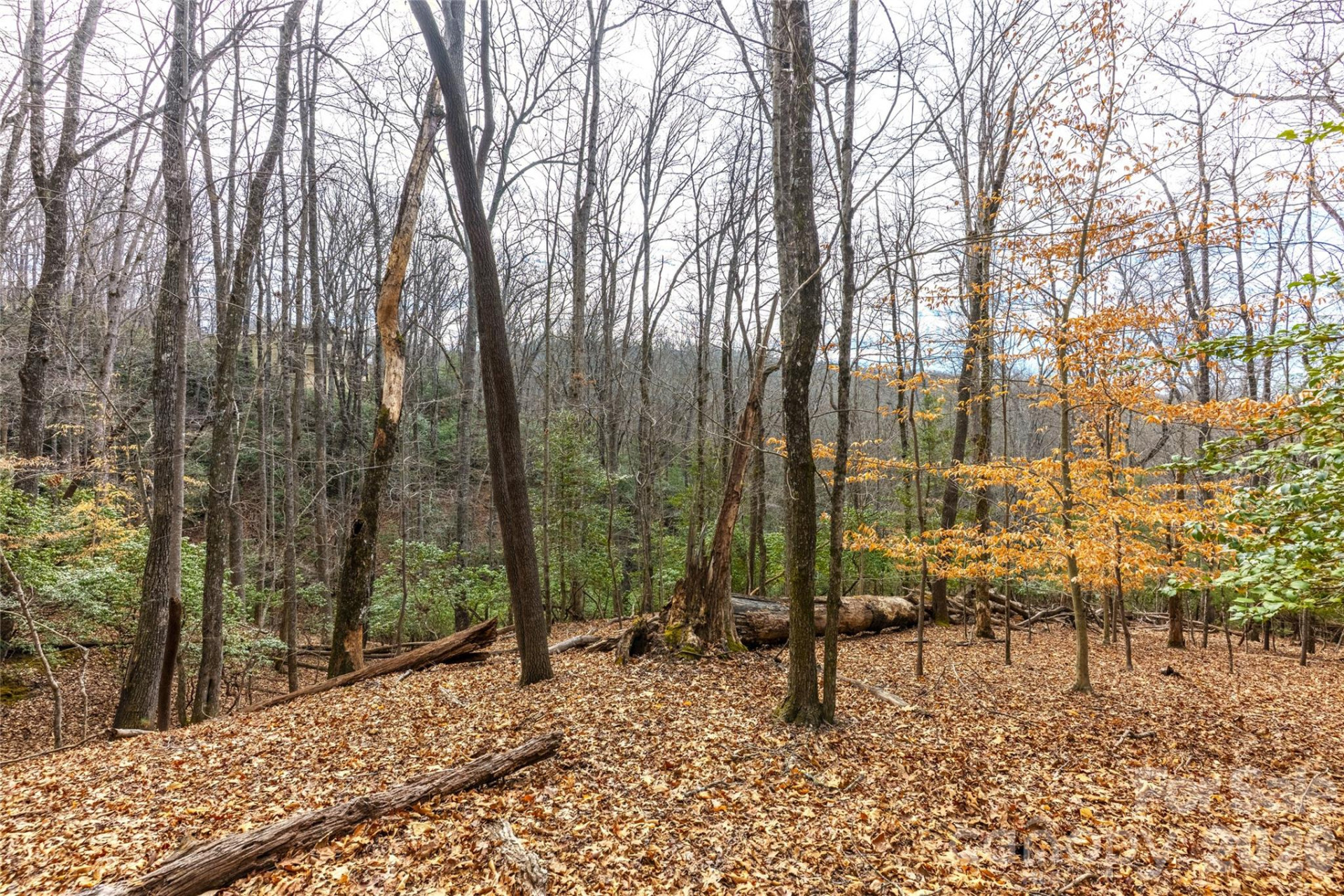 0 Aberdeen Lane - Photo 3