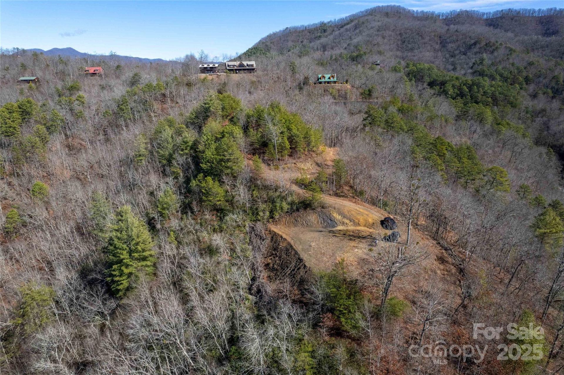 Lot 22 Rusty's Ridge Road - Photo 4