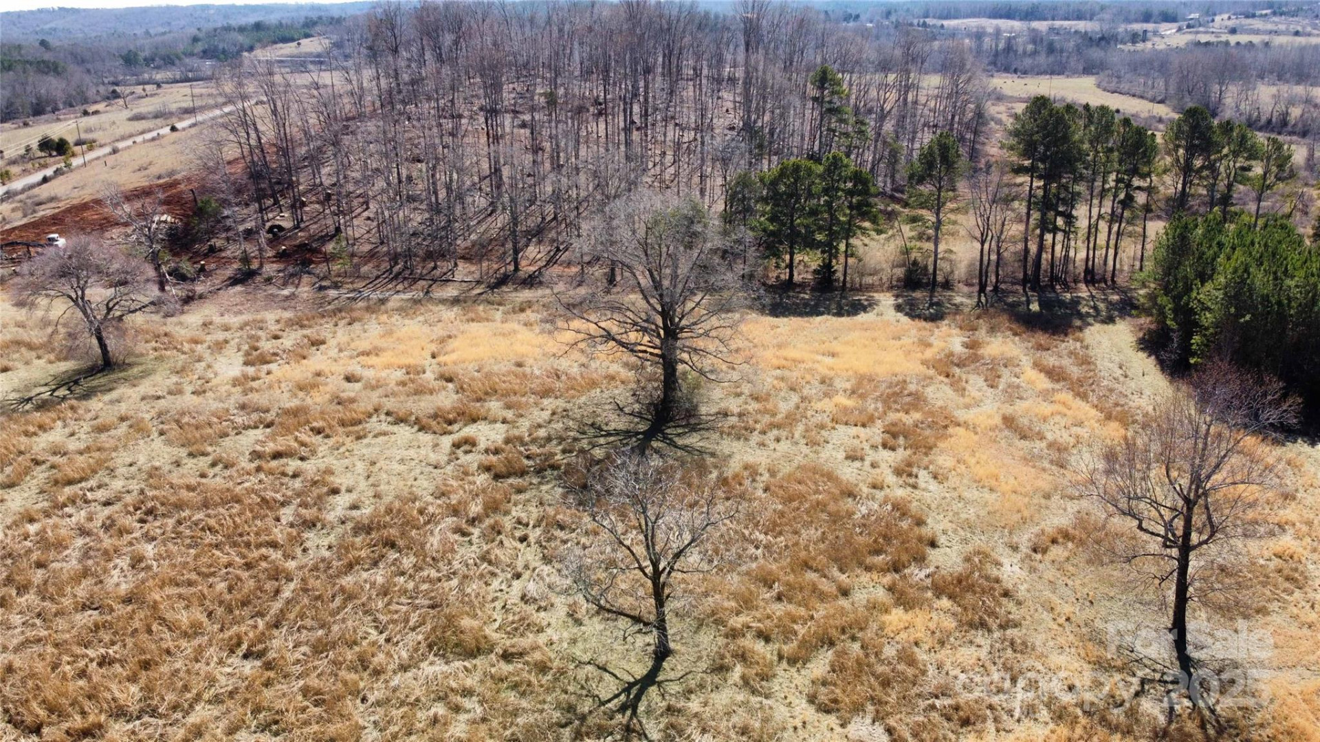 00 AR Thompson Road - Photo 3