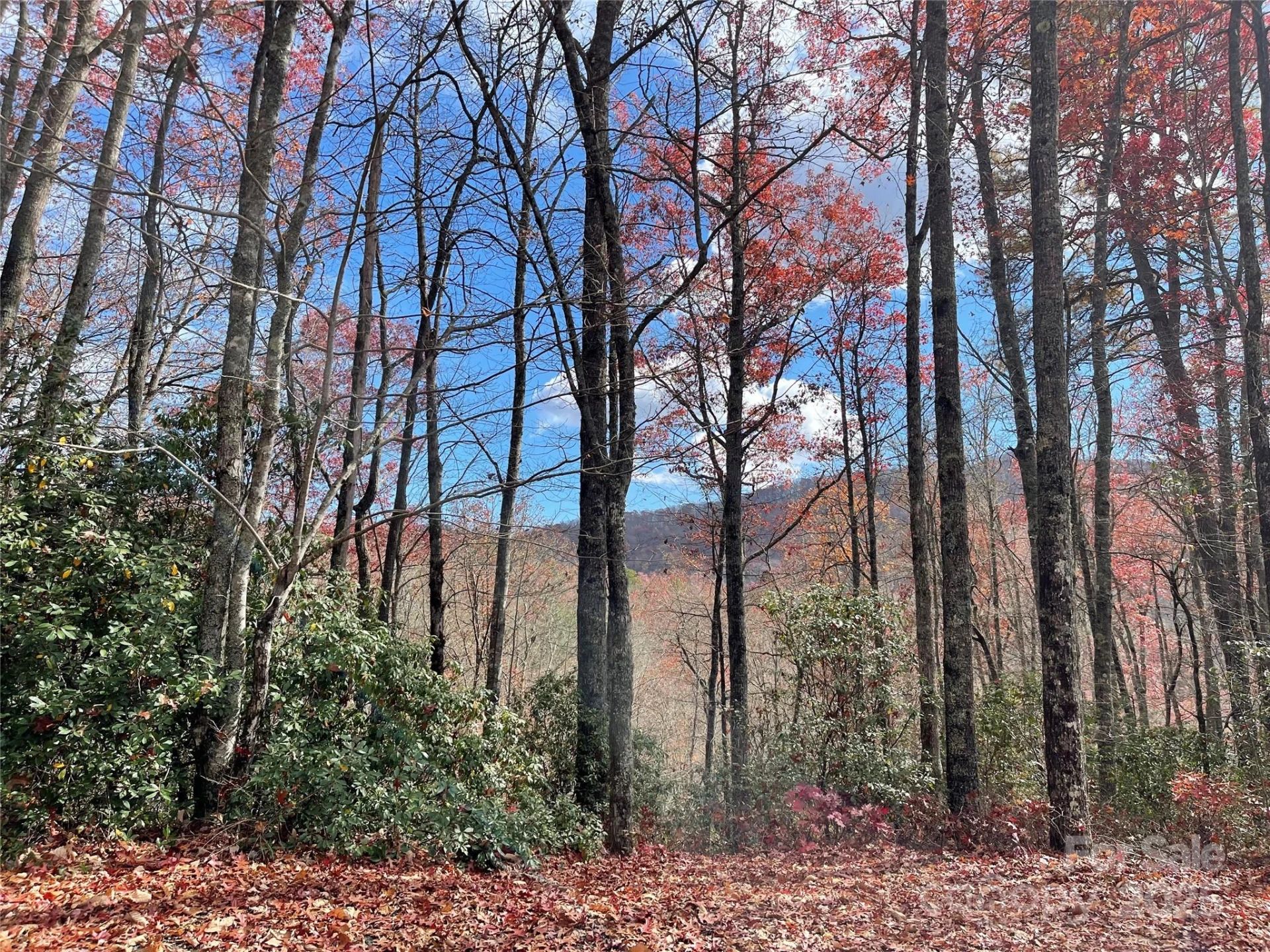 Lot 24 Ridge Trail Drive - Photo 2