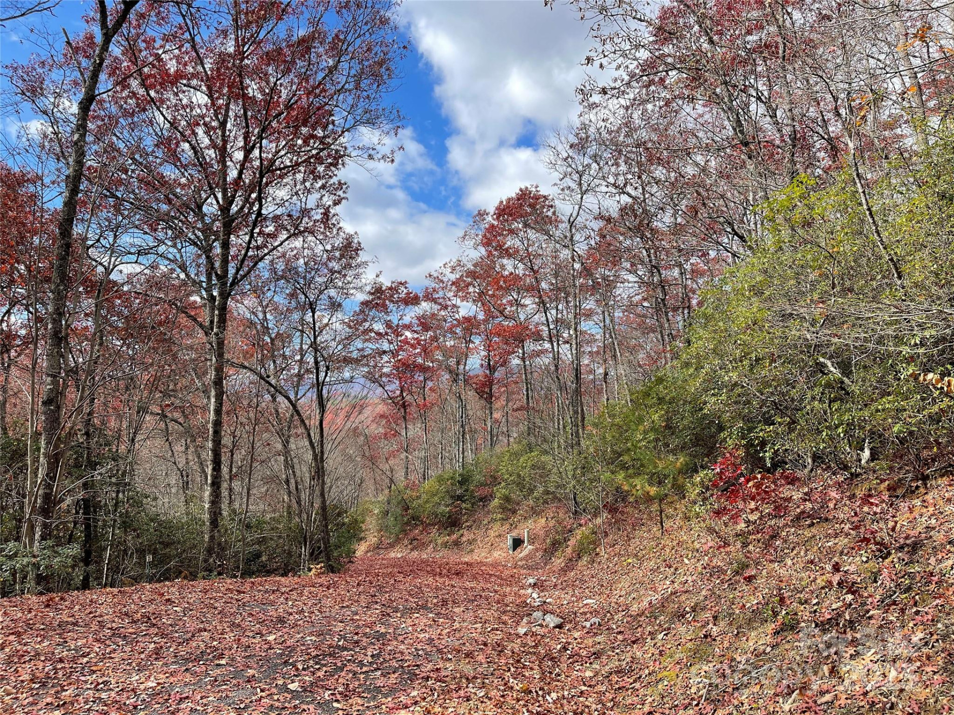 Lot 24 Ridge Trail Drive - Photo 3