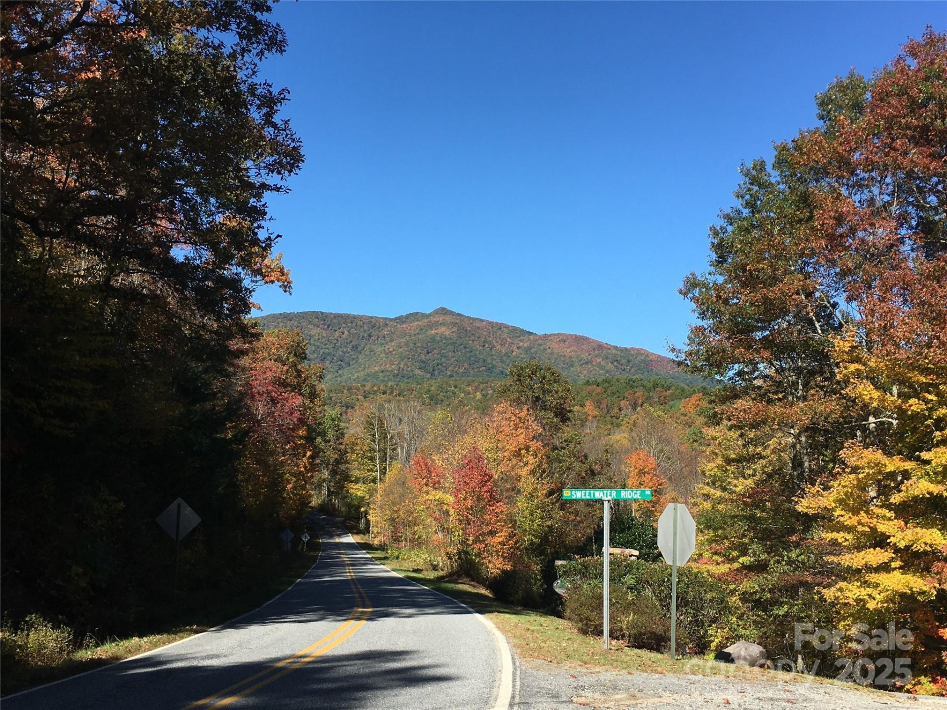 Lot 24 Ridge Trail Drive - Photo 4
