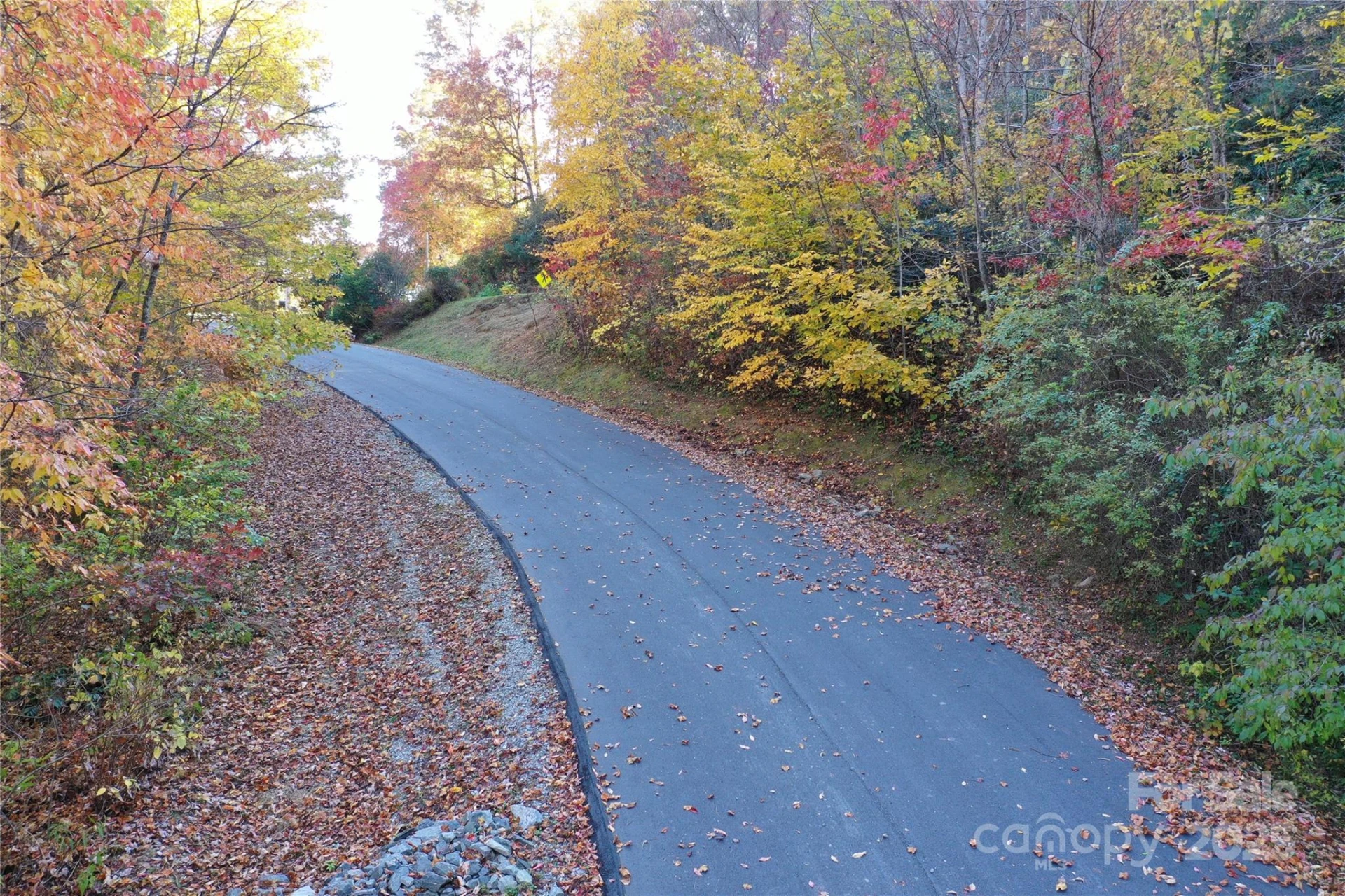 Lot 24 Ridge Trail Drive - Photo 5