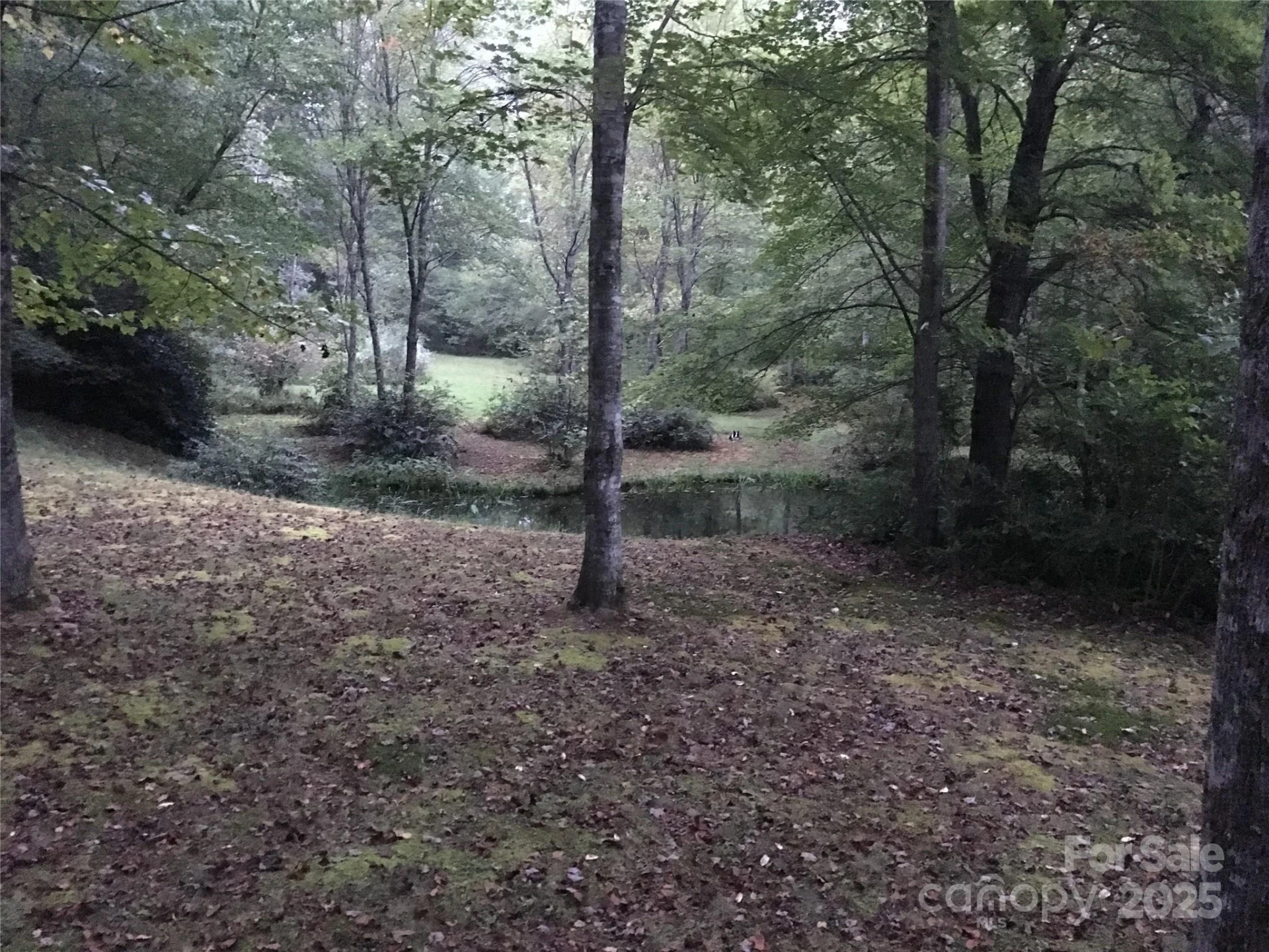 Lot 24 Ridge Trail Drive - Photo 8