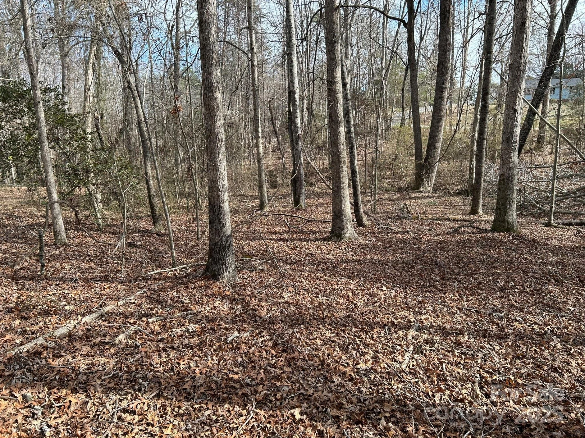 60 & 86 W Melissa Drive - Photo 2