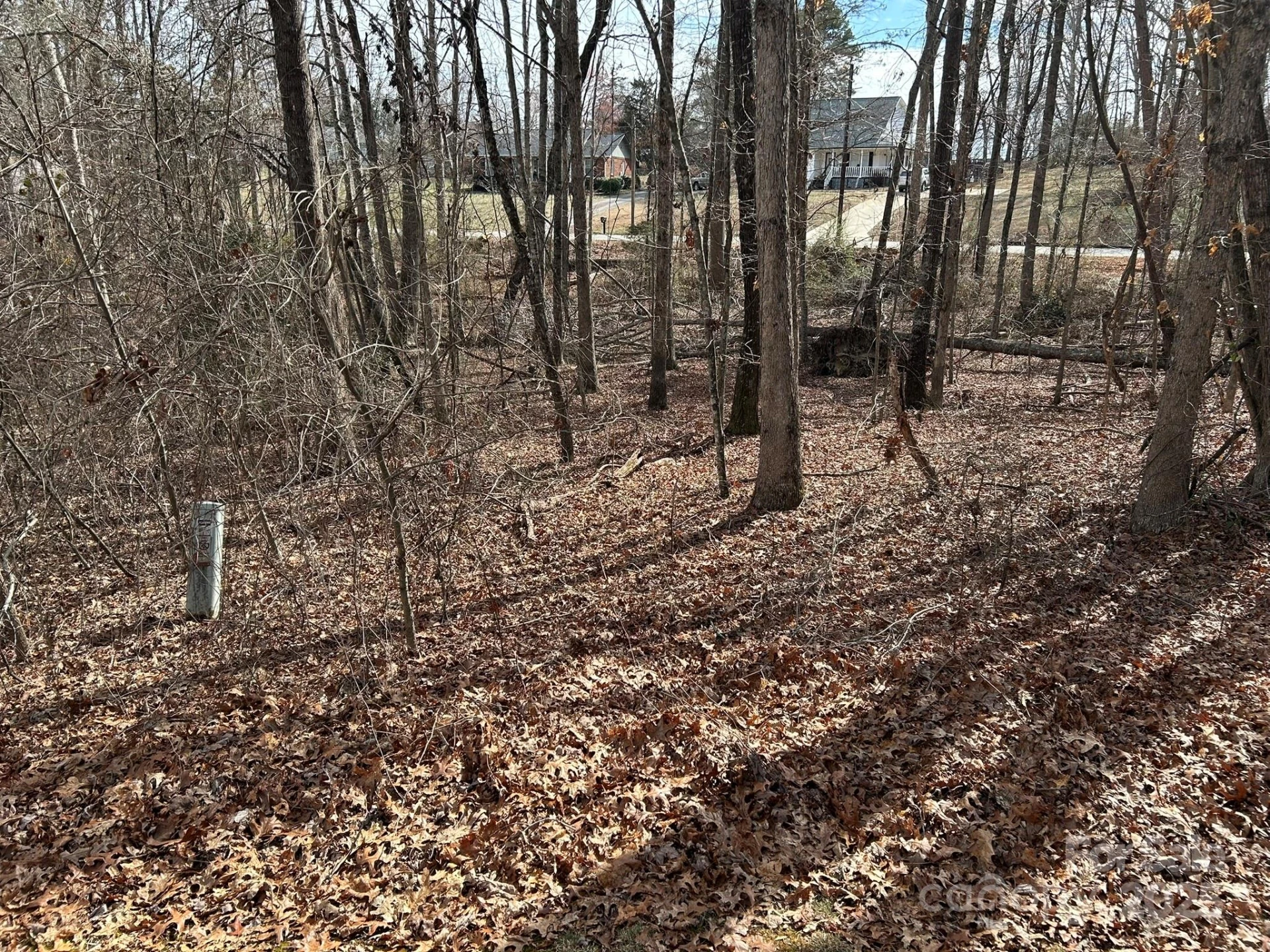 60 & 86 W Melissa Drive - Photo 3