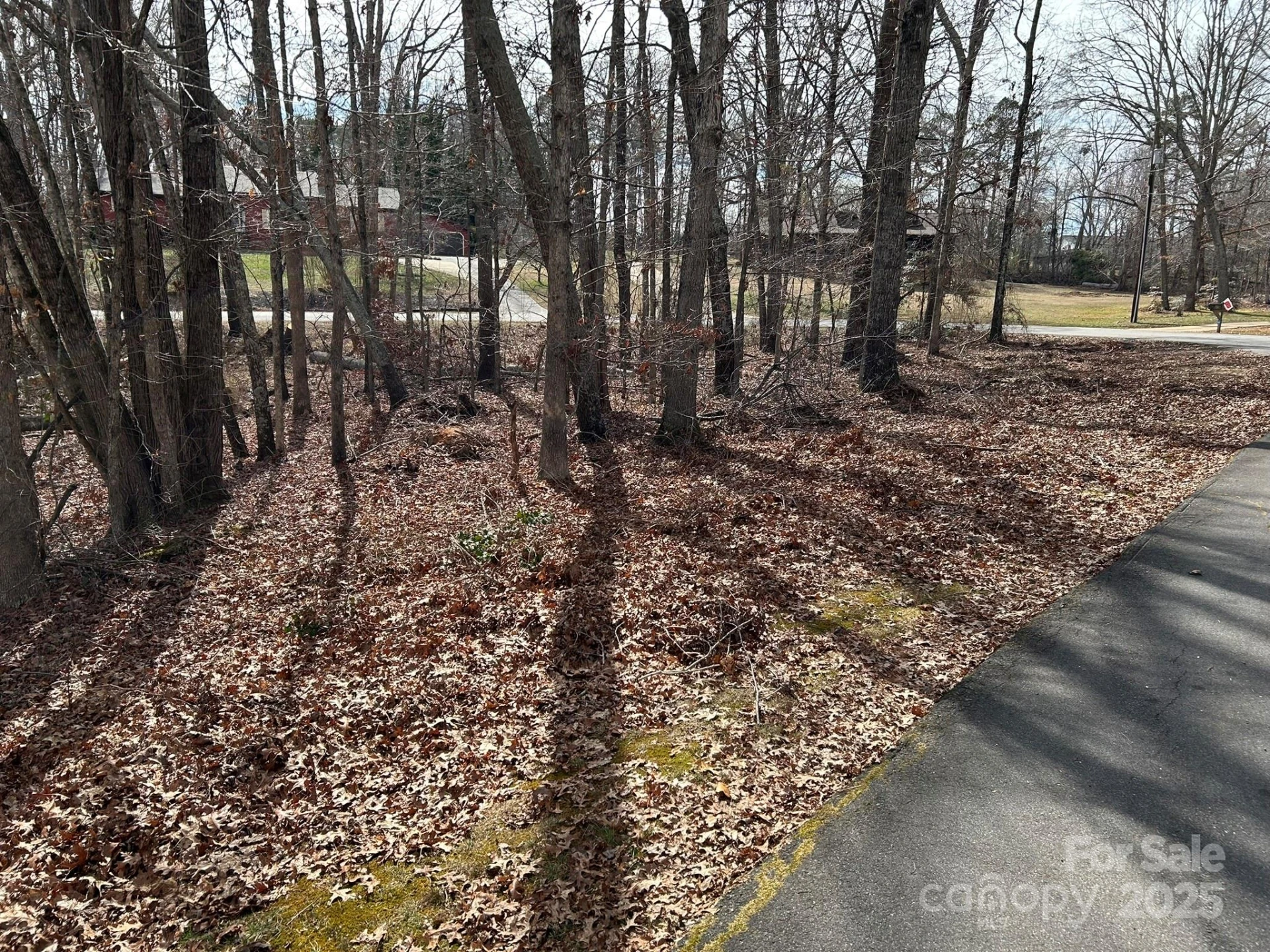 60 & 86 W Melissa Drive - Photo 4