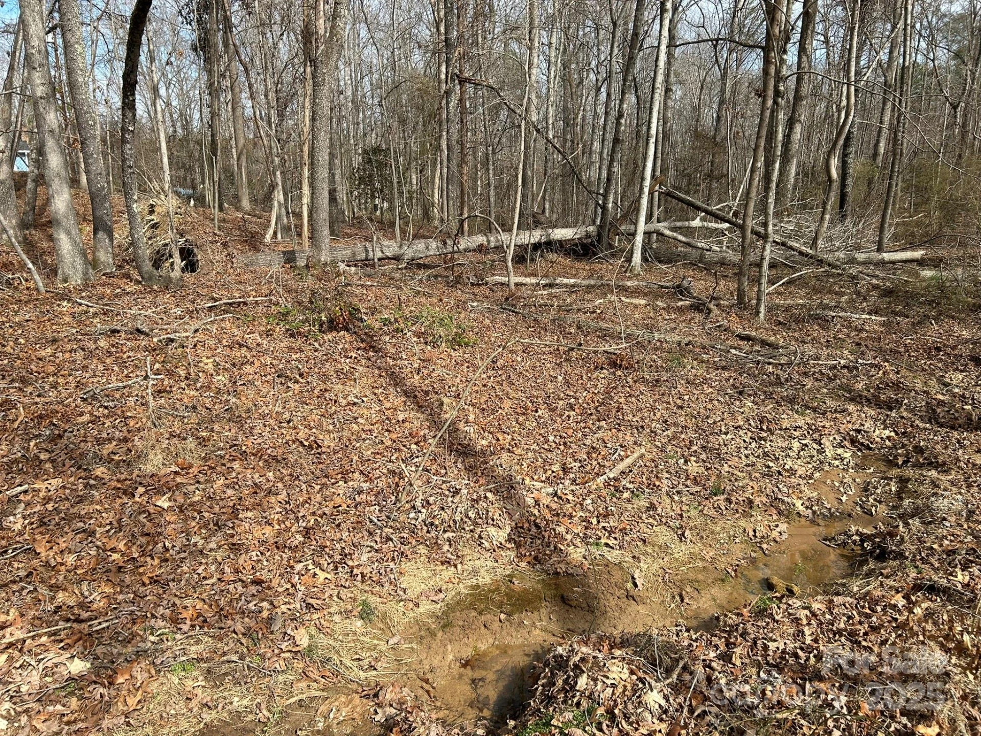 60 & 86 W Melissa Drive - Photo 8