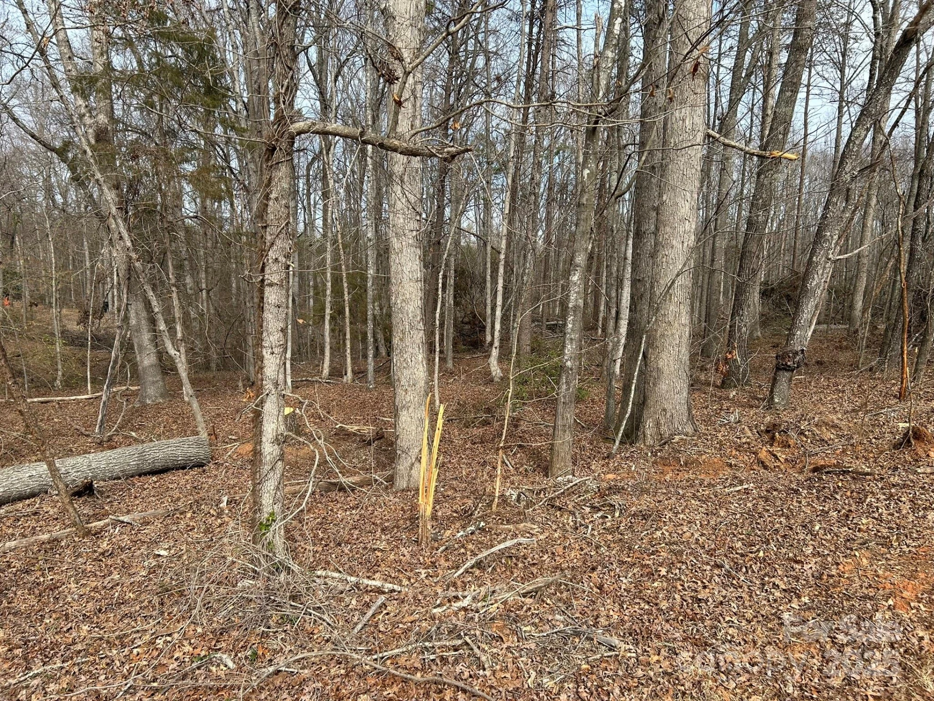 60 & 86 W Melissa Drive - Photo 11
