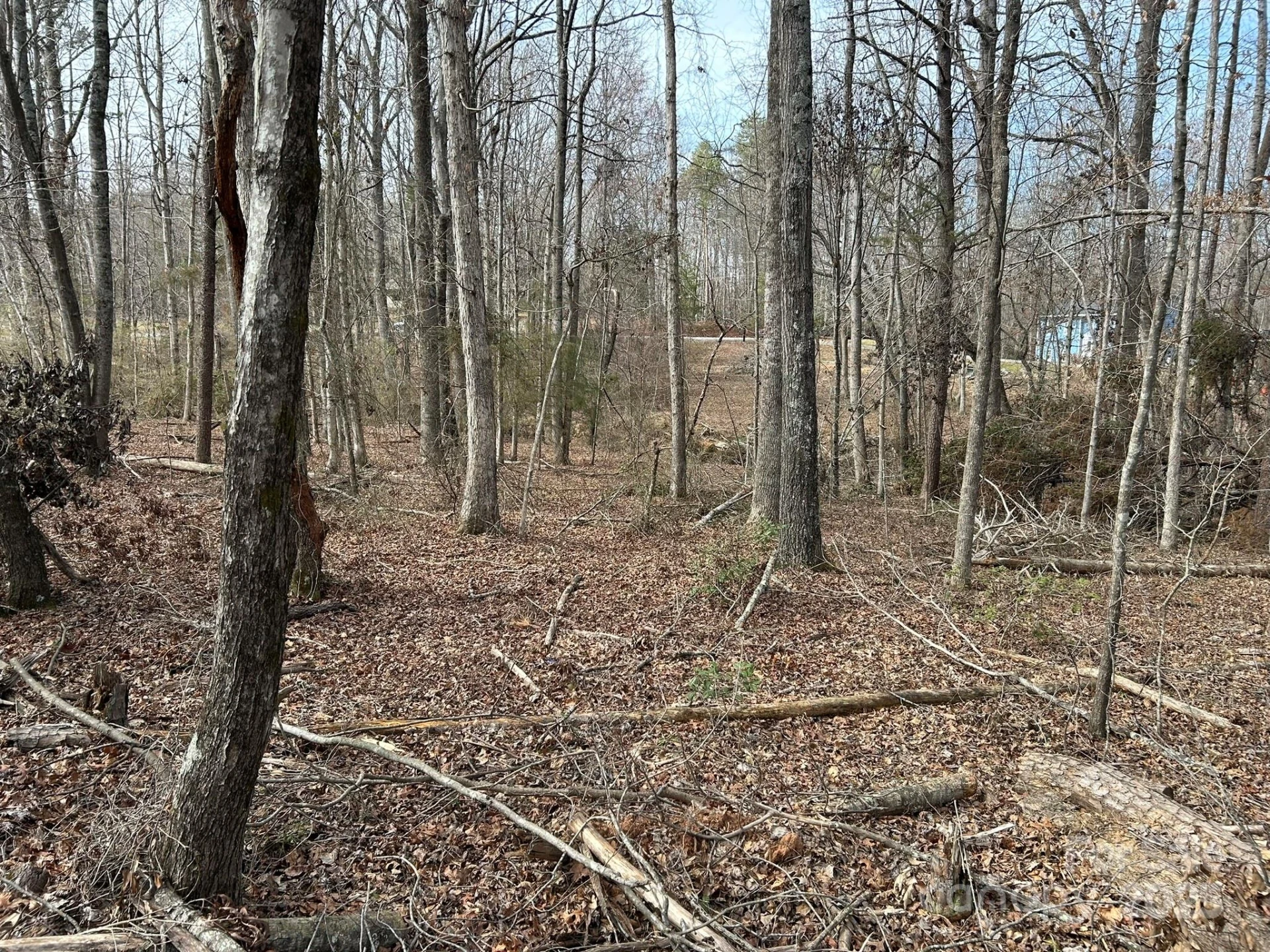 60 & 86 W Melissa Drive - Photo 13