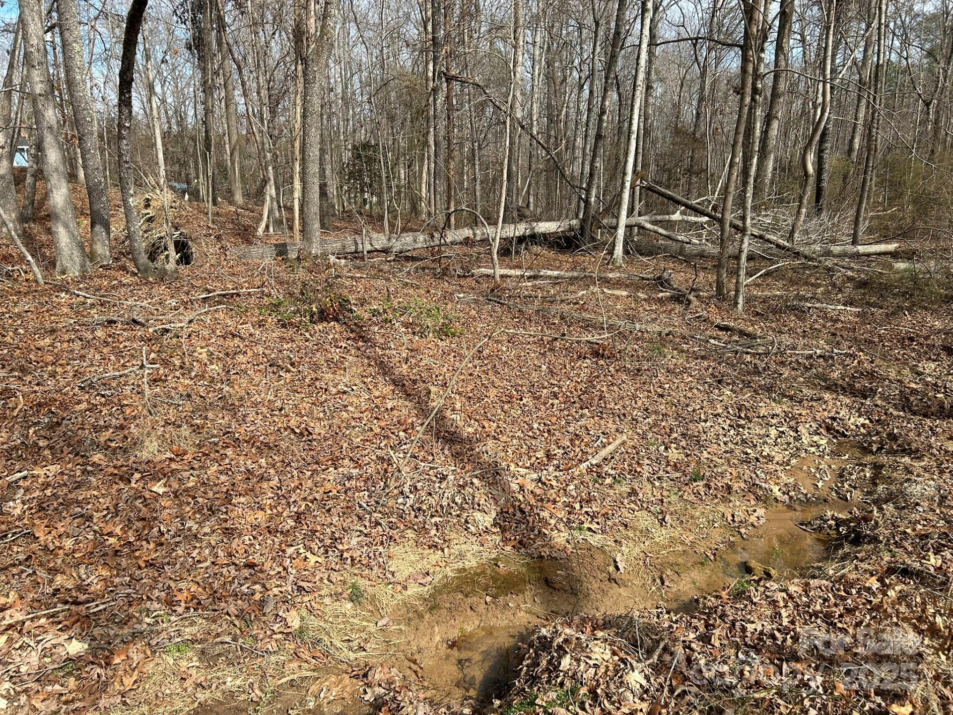 60 & 86 Melissa Drive - Photo 8