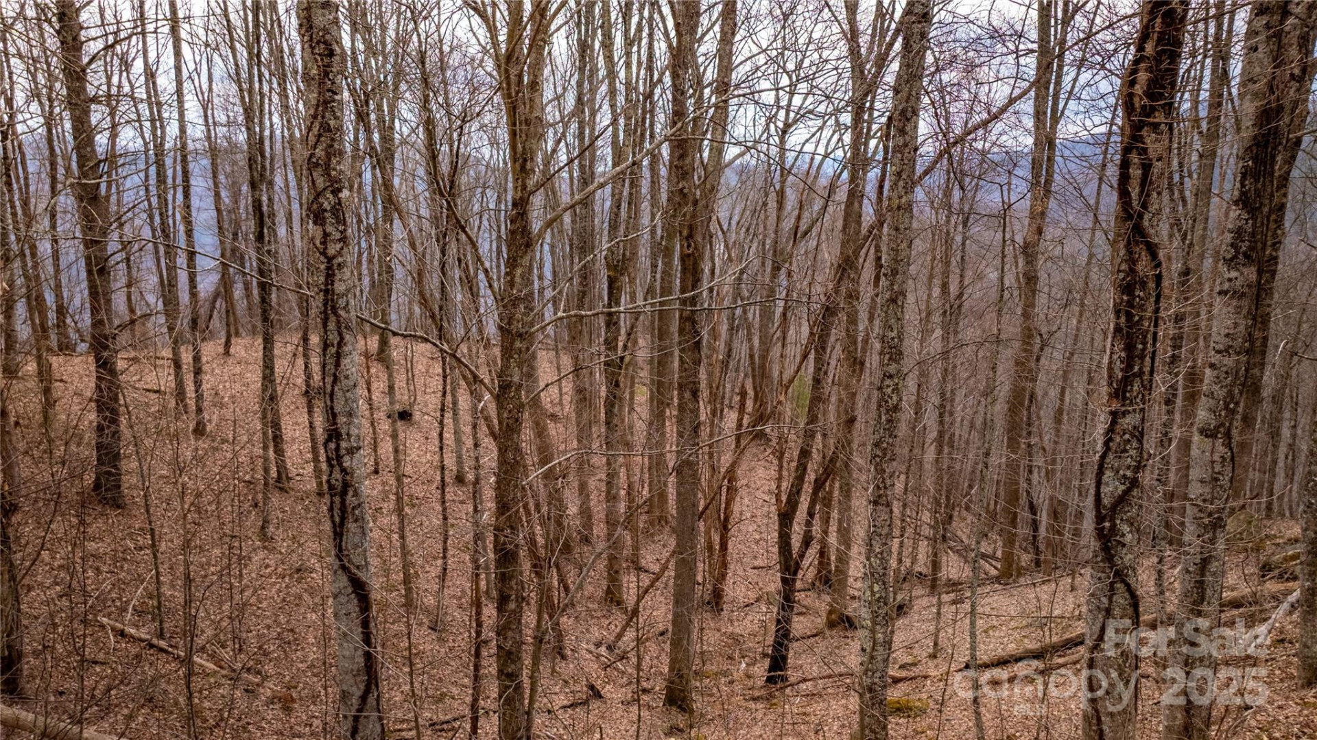 00000 Grassland Parkway #14 - Photo 11