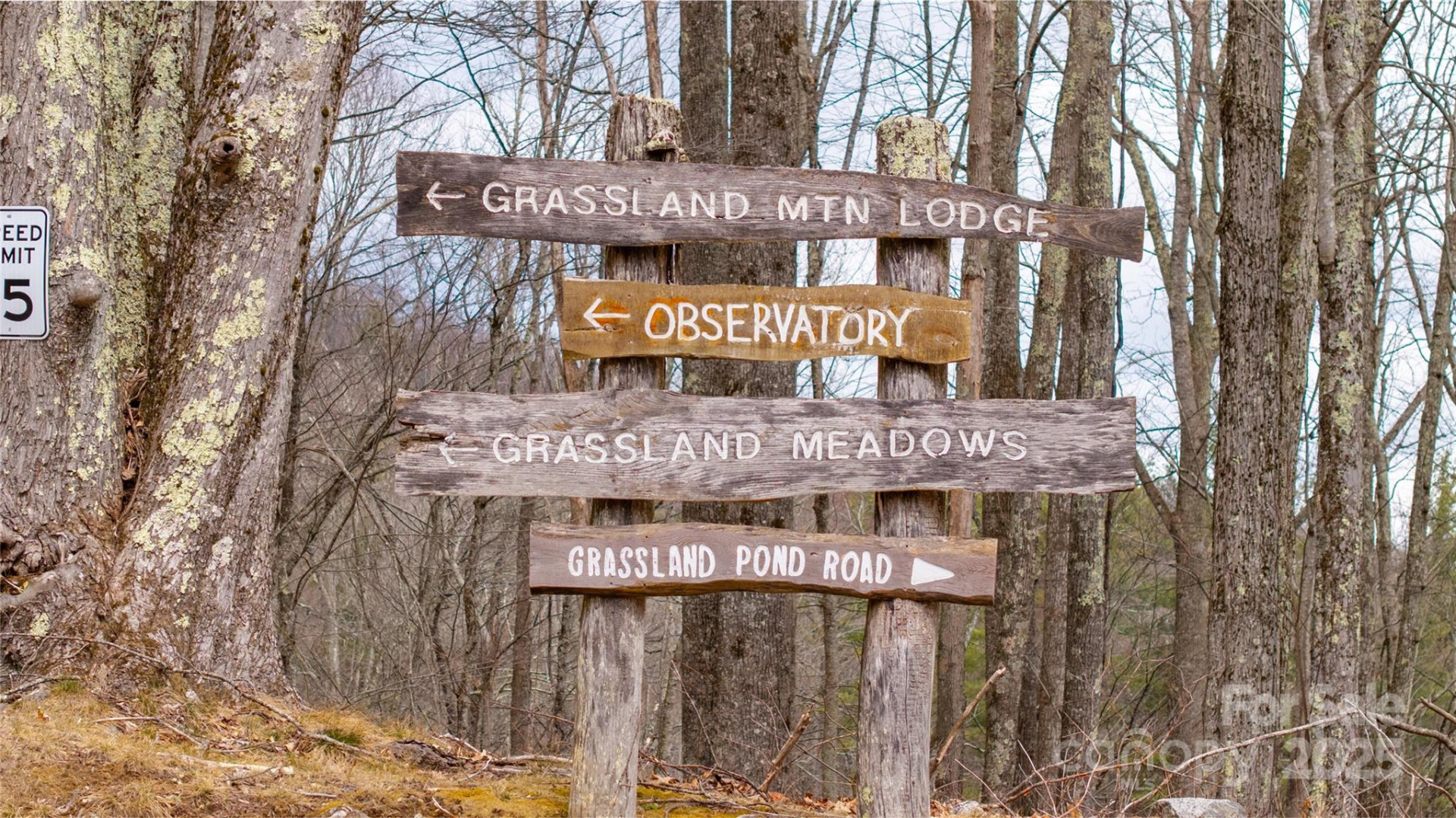 00000 Grassland Parkway #14 - Photo 12