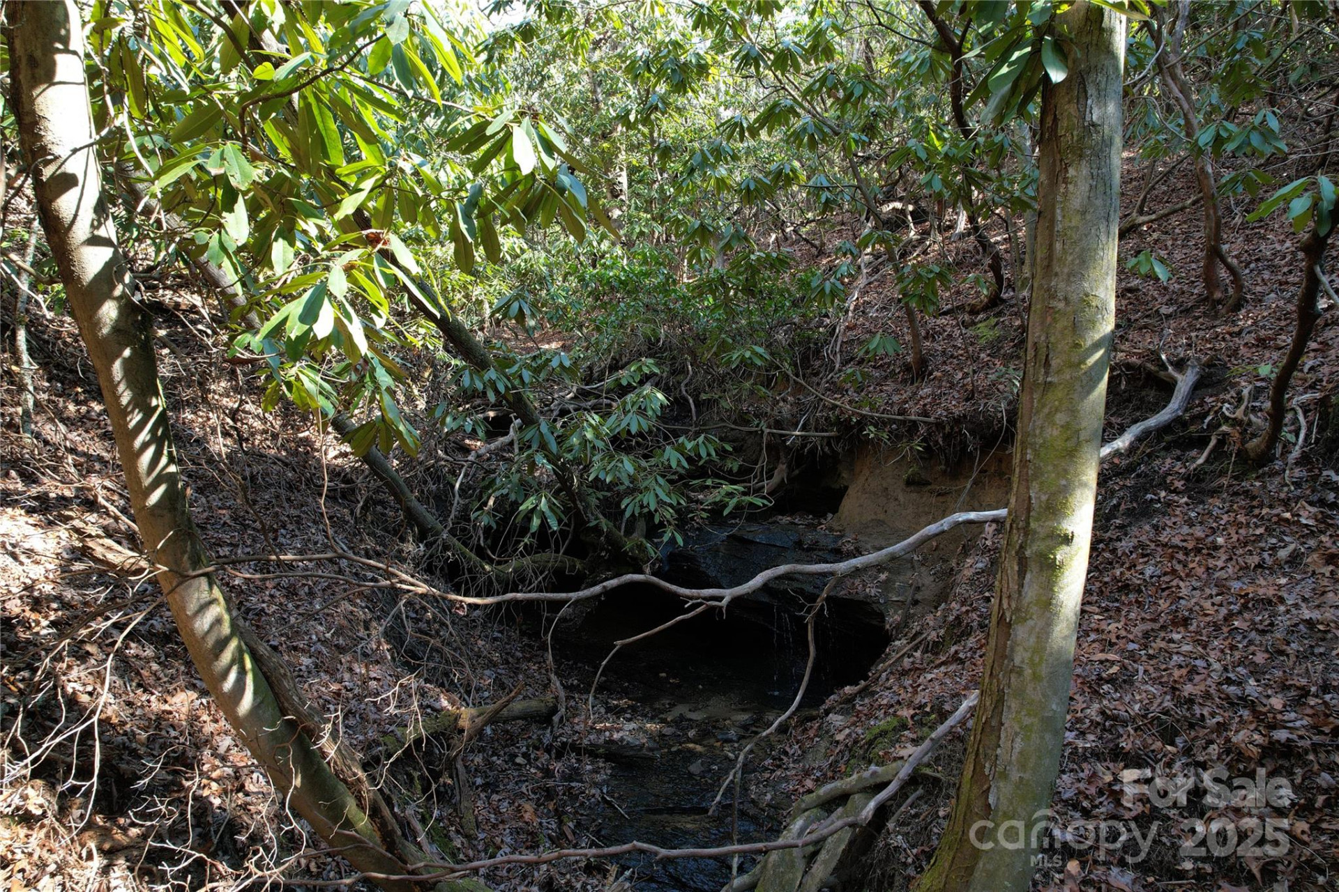 137 Moon Circle - Photo 3