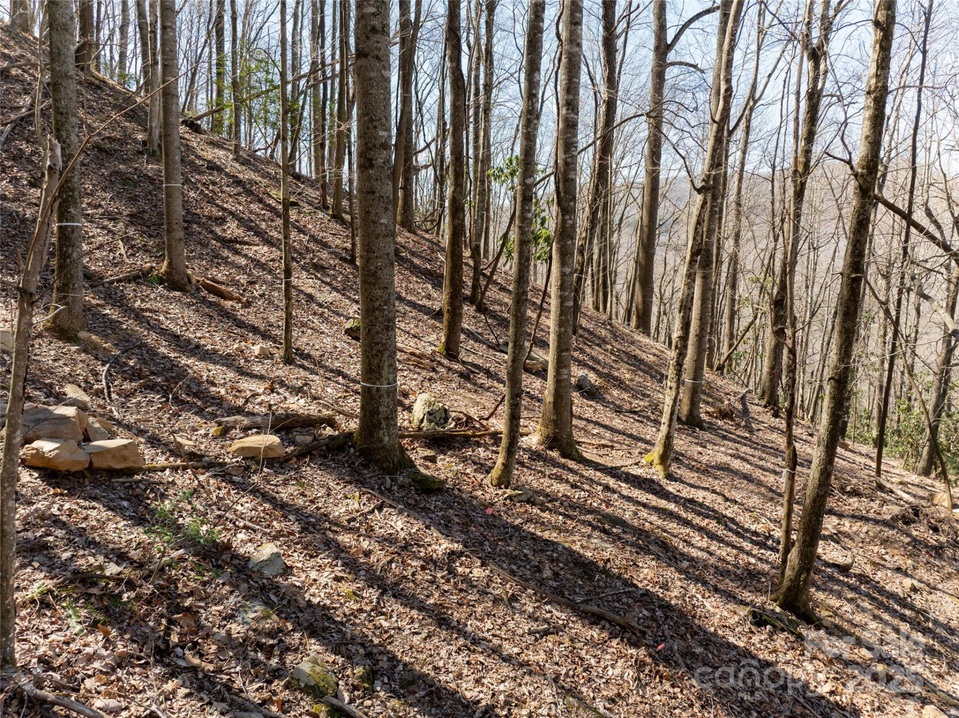 9999 Laurel Drive #12 & 13 - Photo 2