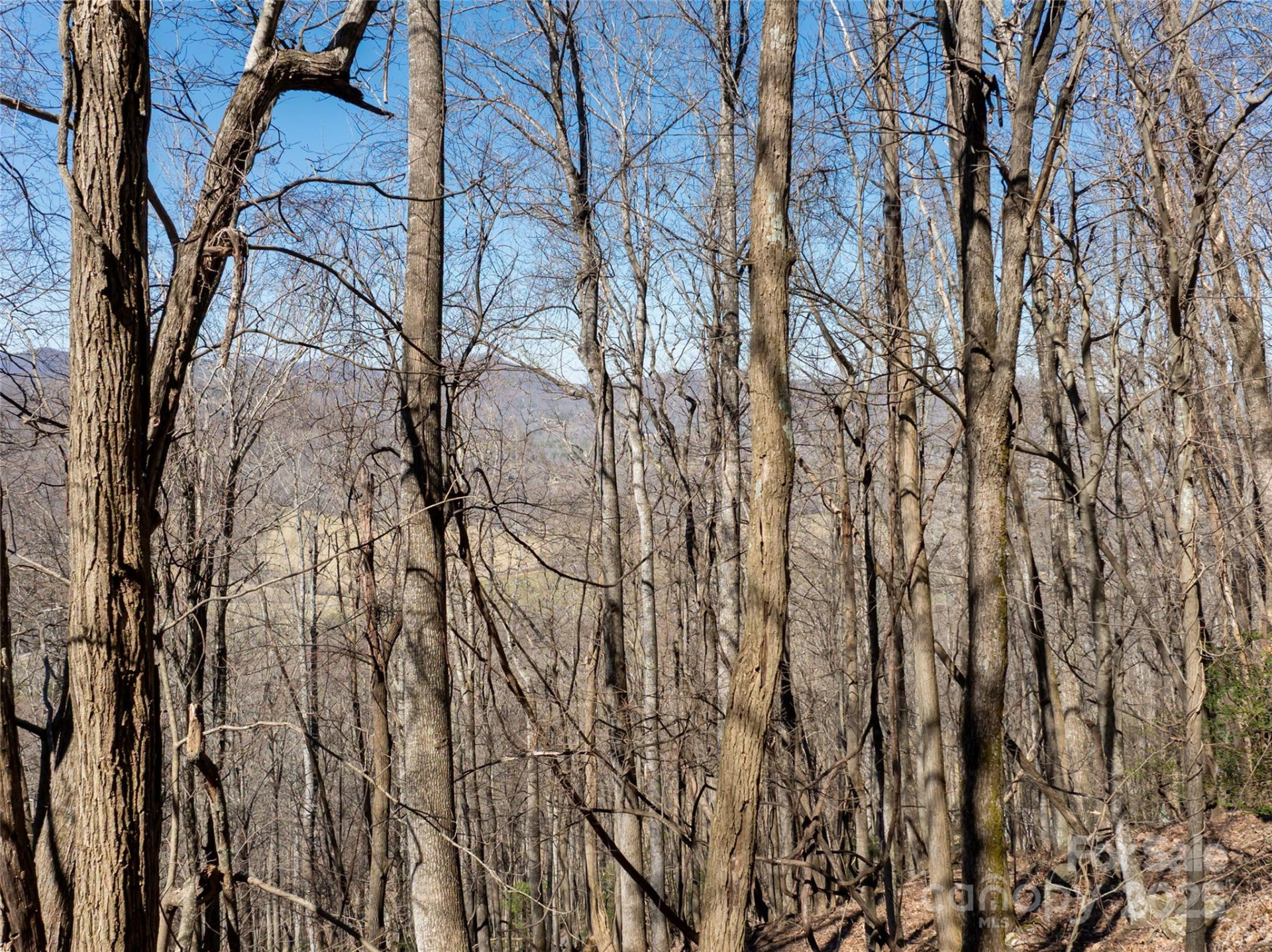 9999 Laurel Drive #12 & 13 - Photo 11