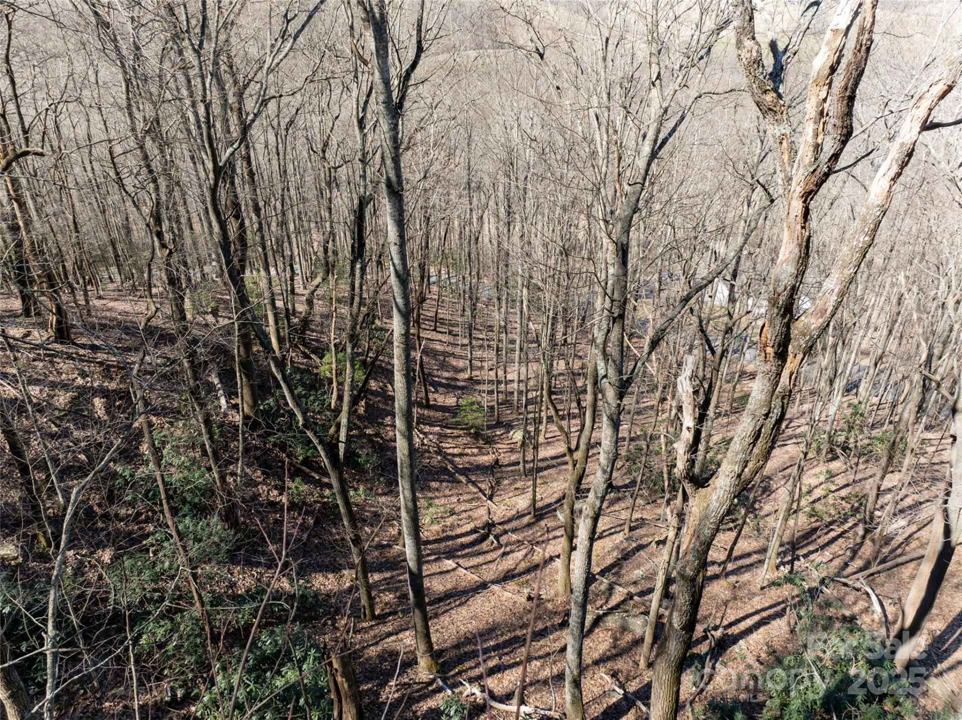 9999 Laurel Drive #12 & 13 - Photo 12