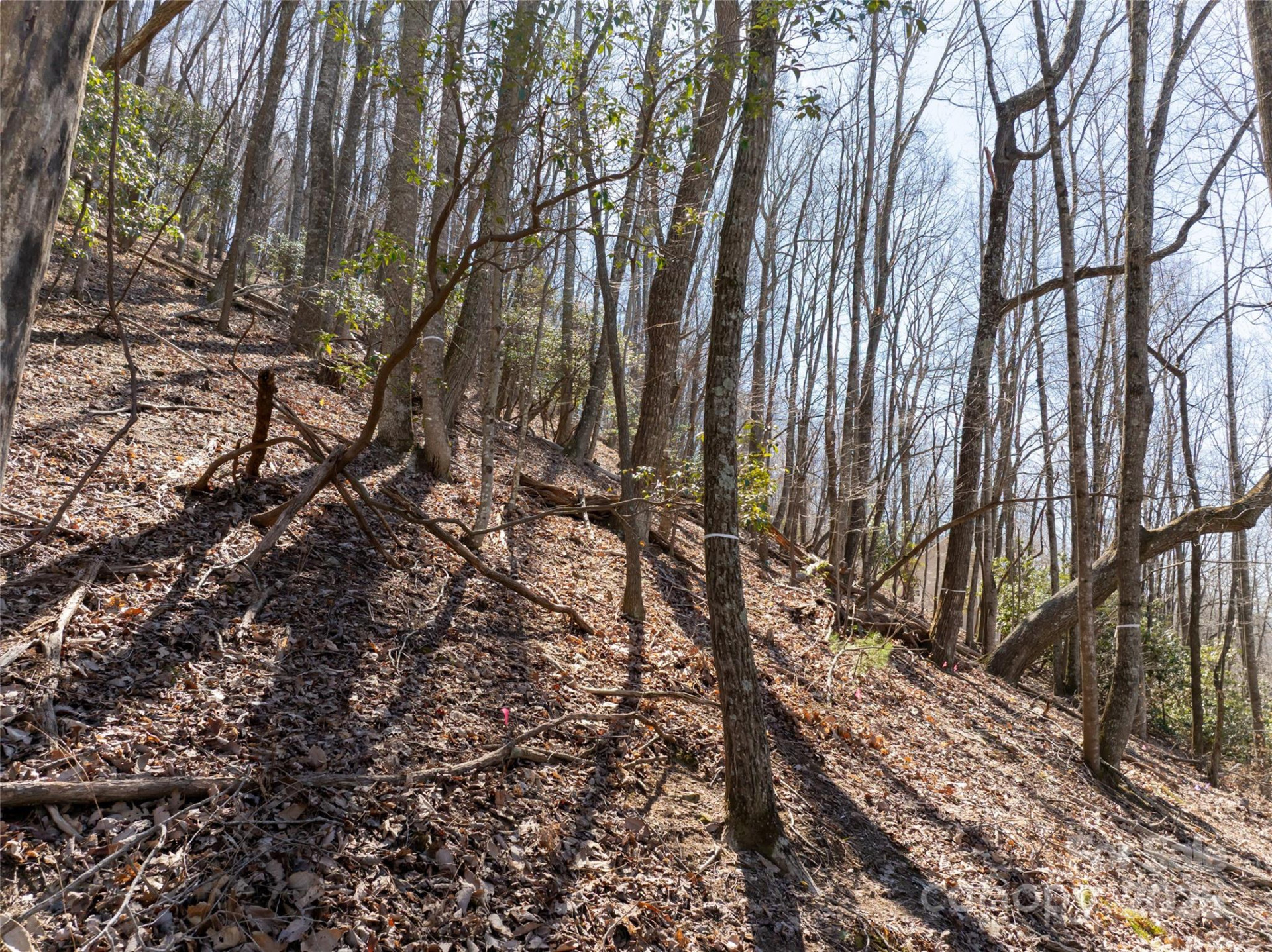 9999 Laurel Drive #12 & 13 - Photo 13