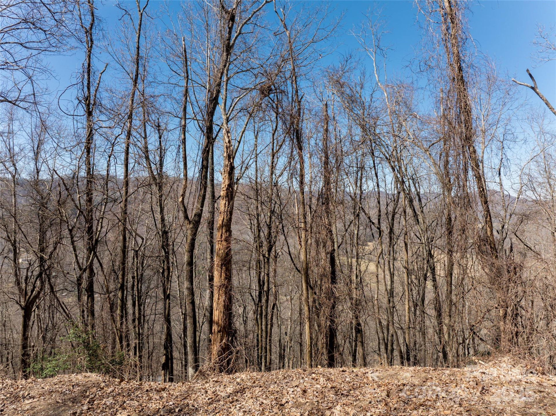 9999 Laurel Drive #12 & 13 - Photo 19