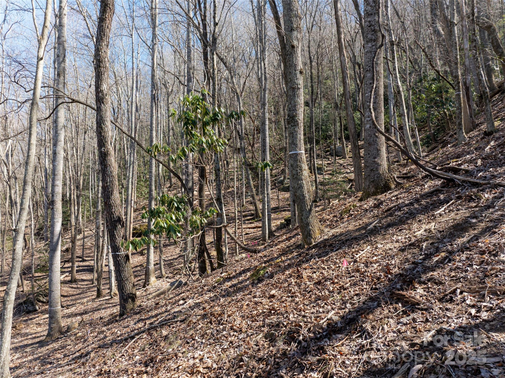 9999 Laurel Drive #12 & 13 - Photo 20