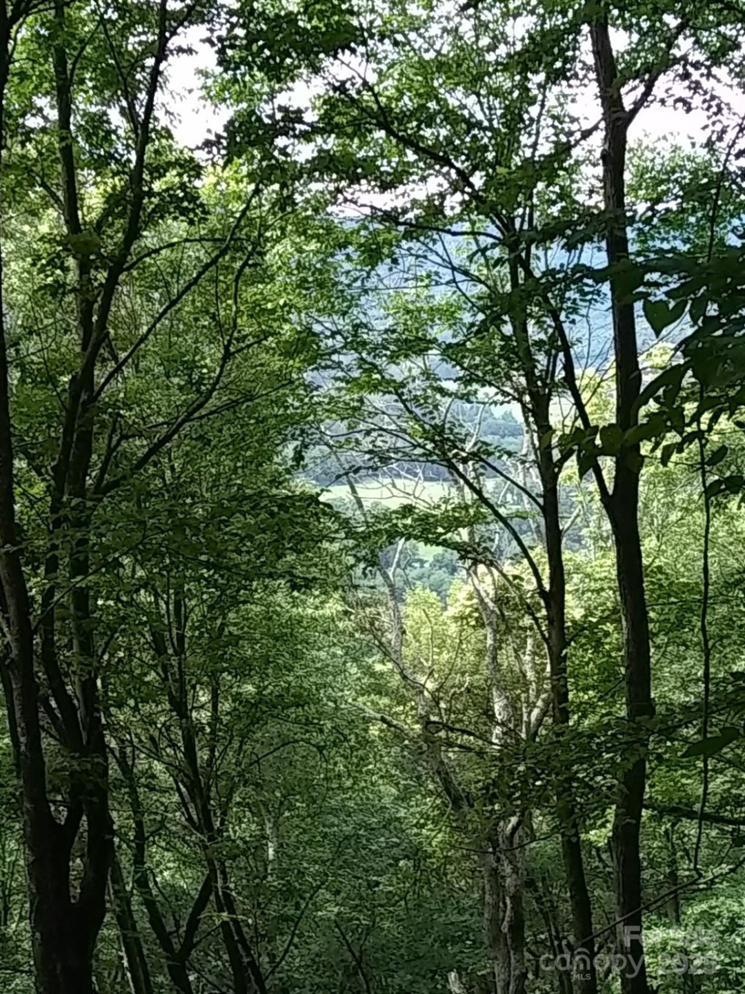 9999 Laurel Drive #12 & 13 - Photo 3