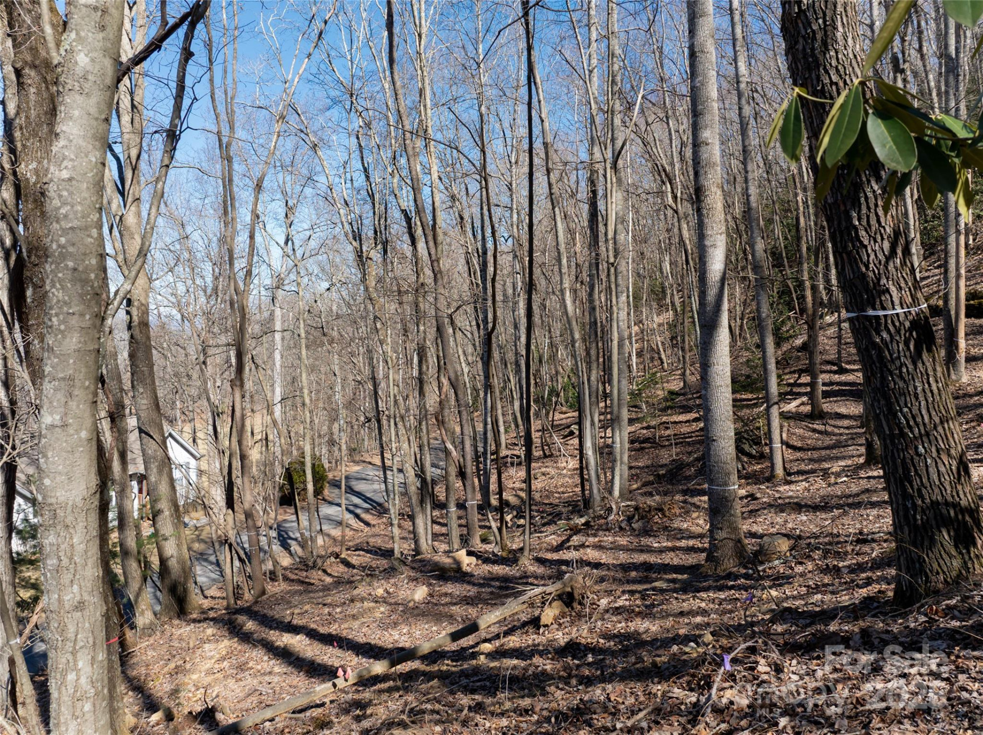 9999 Laurel Drive #12 & 13 - Photo 21