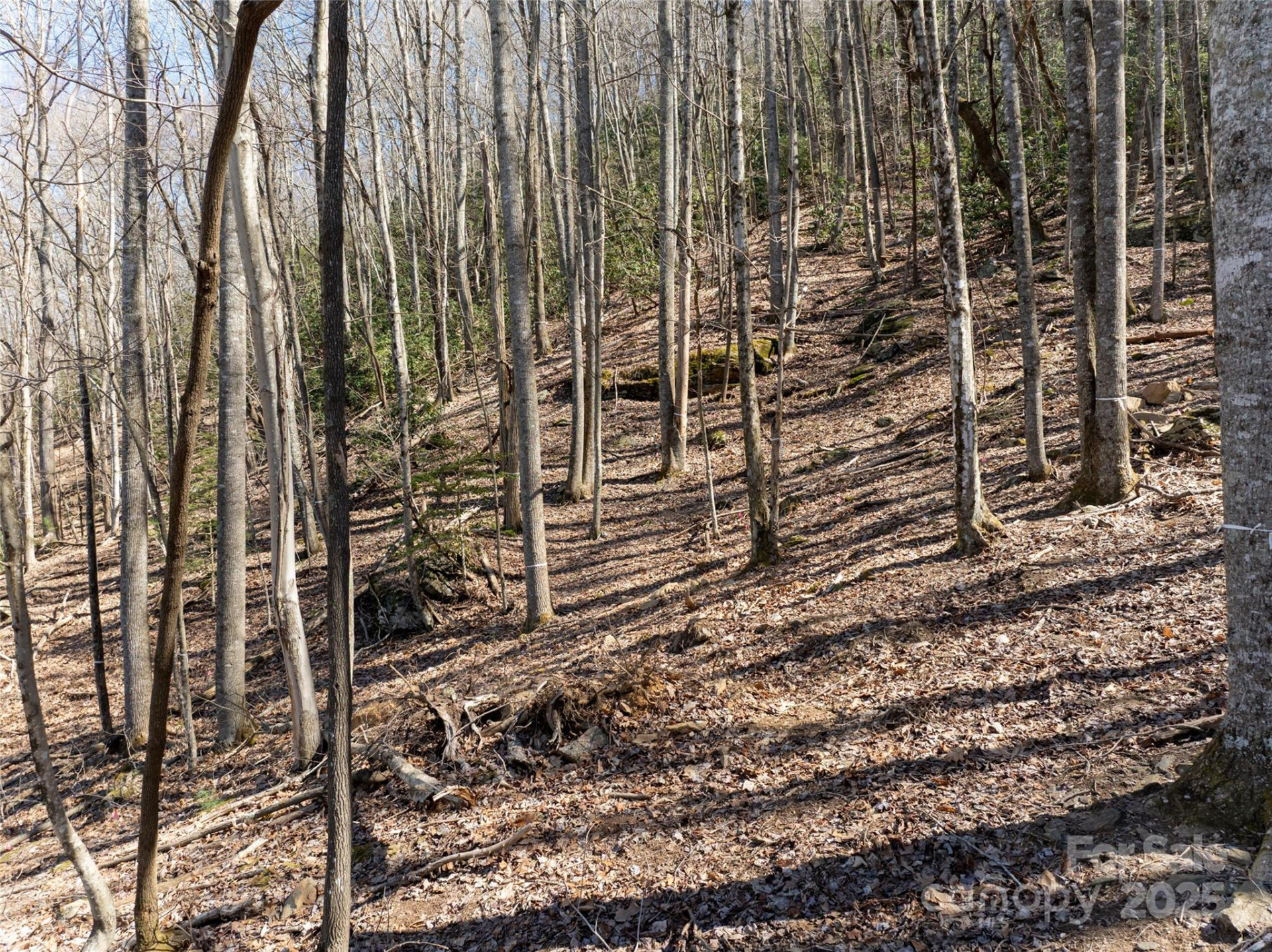 9999 Laurel Drive #12 & 13 - Photo 23