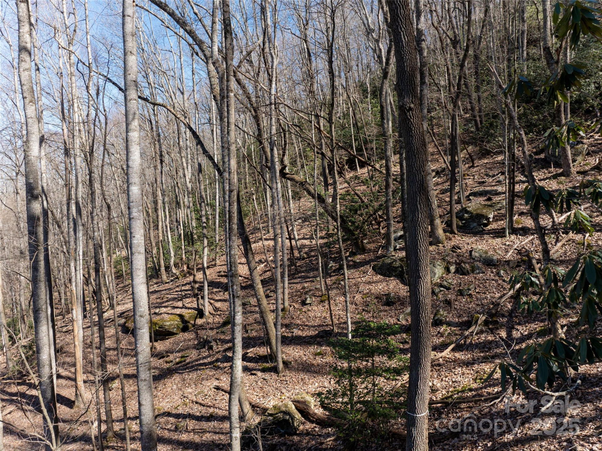 9999 Laurel Drive #12 & 13 - Photo 24