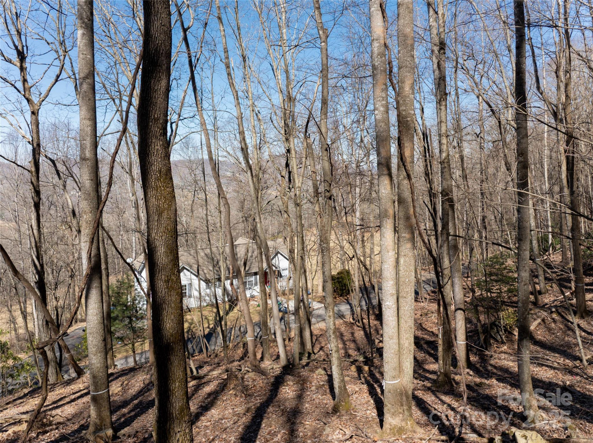 9999 Laurel Drive #12 & 13 - Photo 25