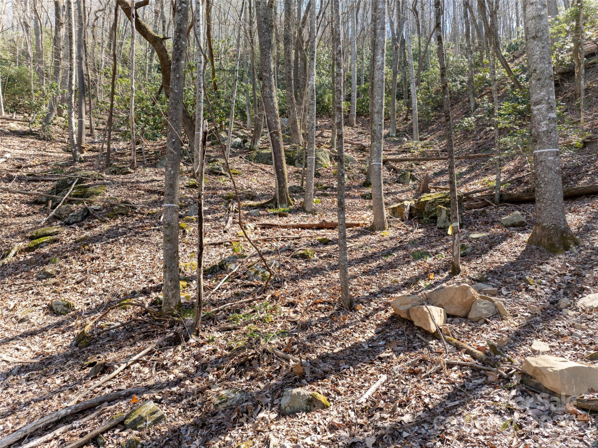 9999 Laurel Drive #12 & 13 - Photo 28