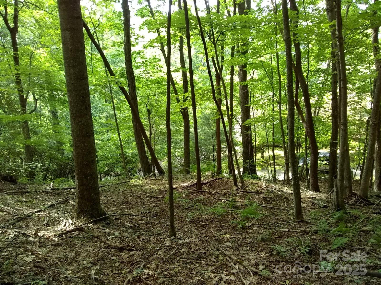 9999 Laurel Drive #12 & 13 - Photo 4