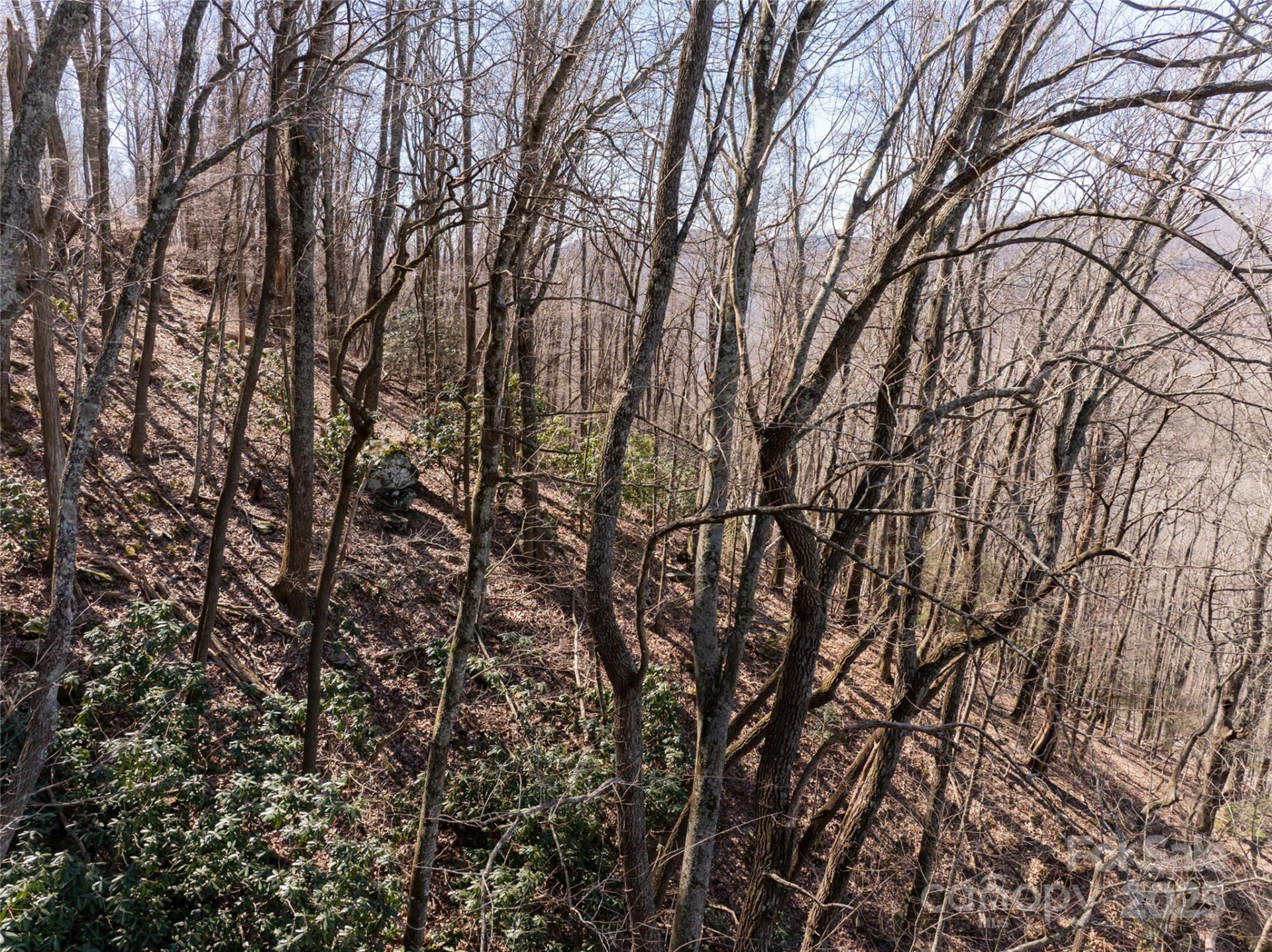 9999 Laurel Drive #12 & 13 - Photo 31