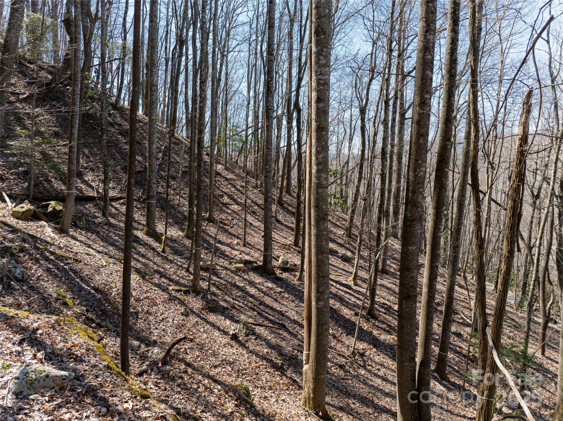 9999 Laurel Drive #12 & 13 - Photo 34