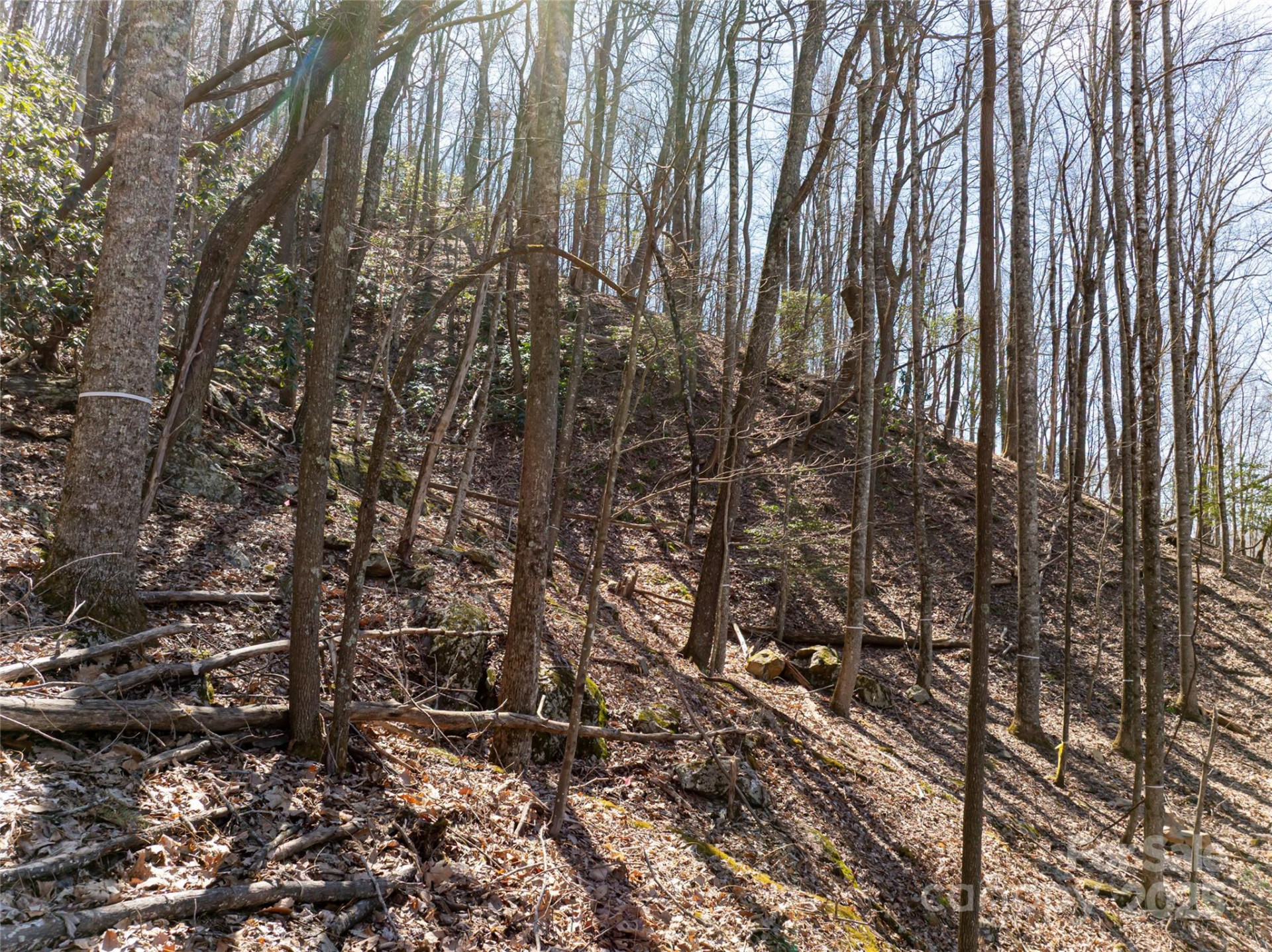 9999 Laurel Drive #12 & 13 - Photo 35