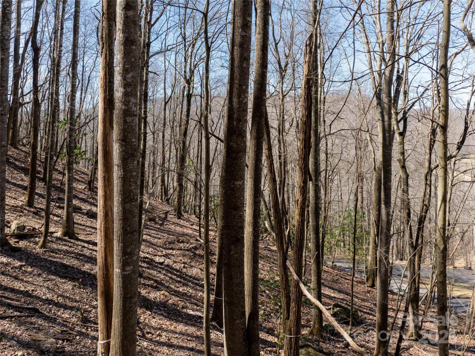 9999 Laurel Drive #12 & 13 - Photo 36