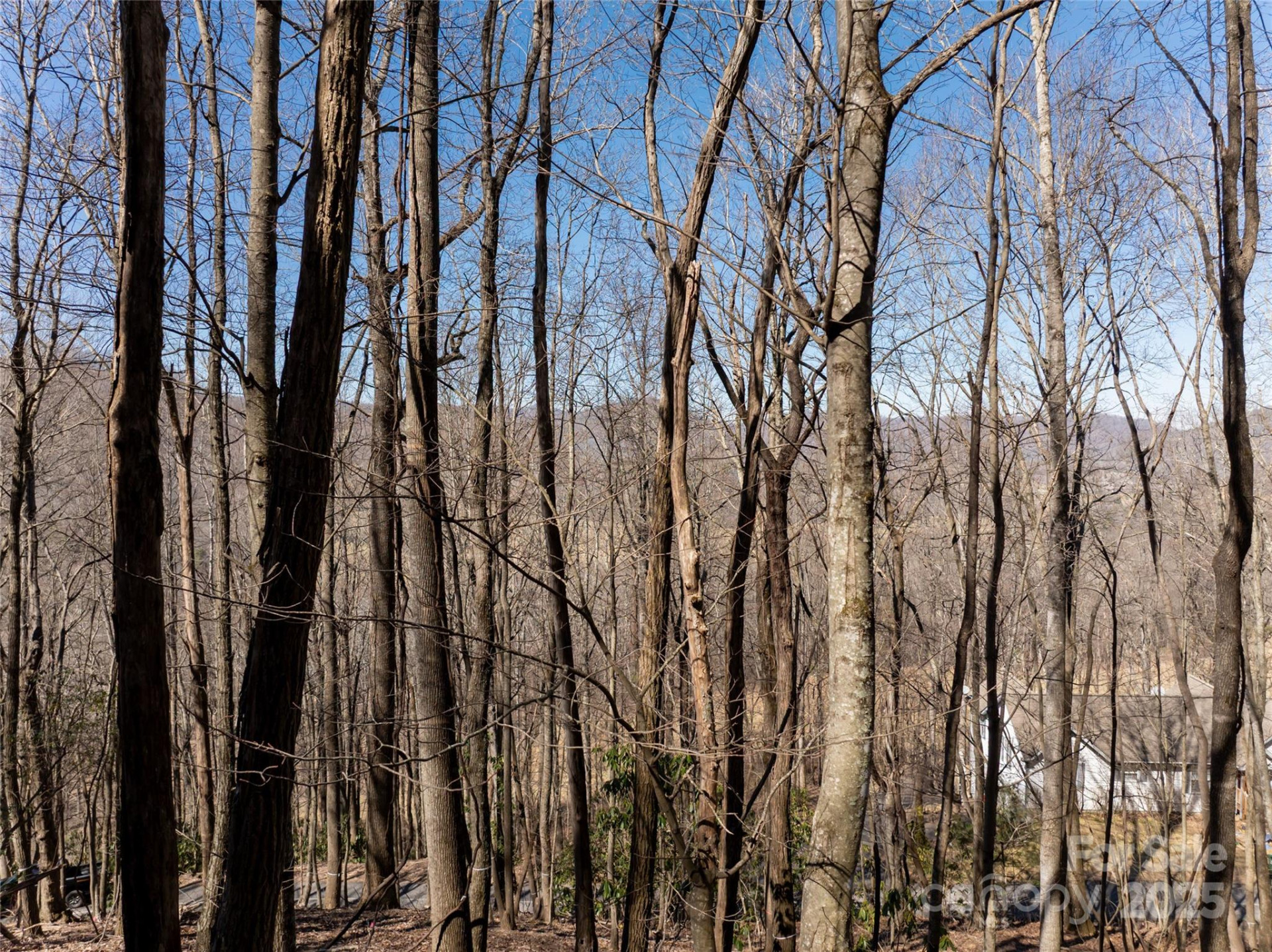 9999 Laurel Drive #12 & 13 - Photo 37